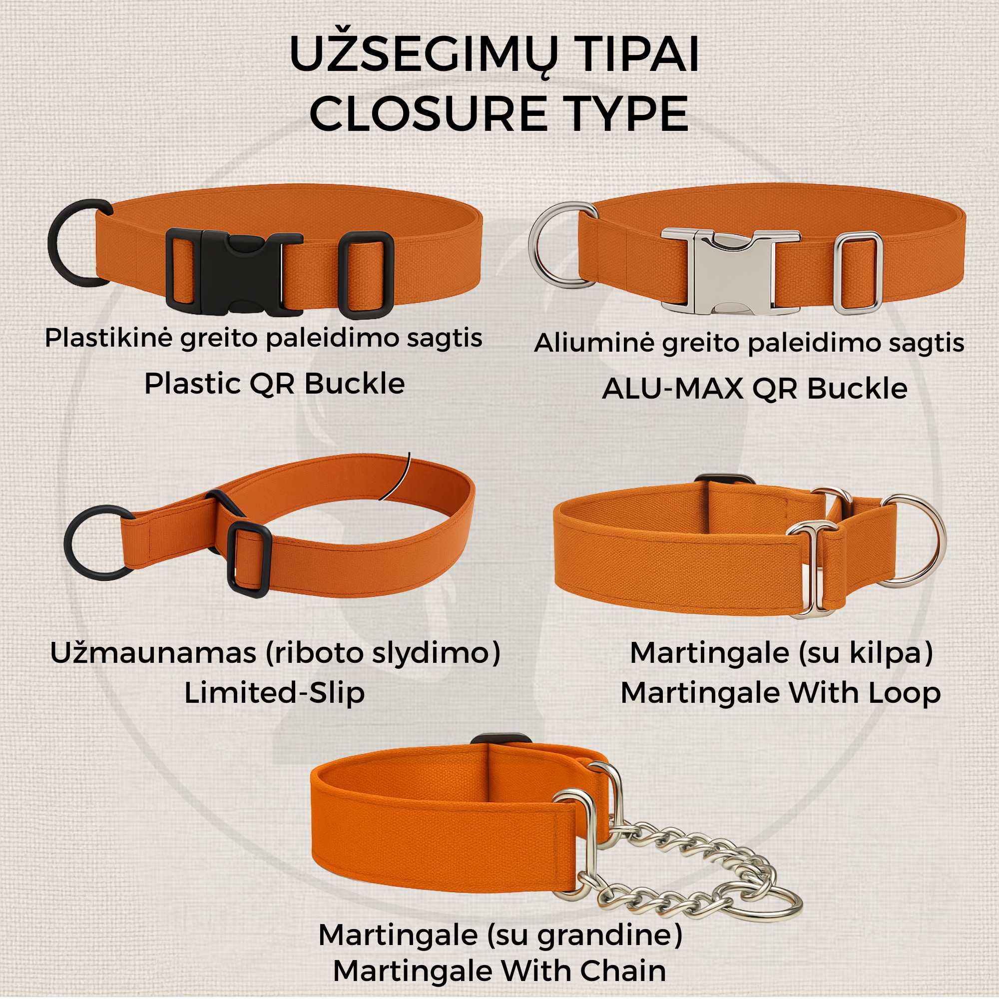 Illustration of different dog collar closures with labels on a beige background