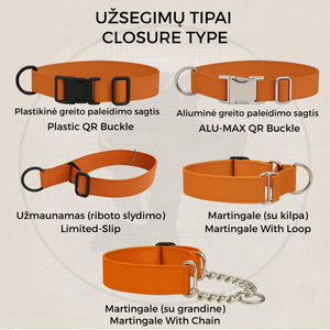 Illustration of different dog collar closures with labels on a beige background