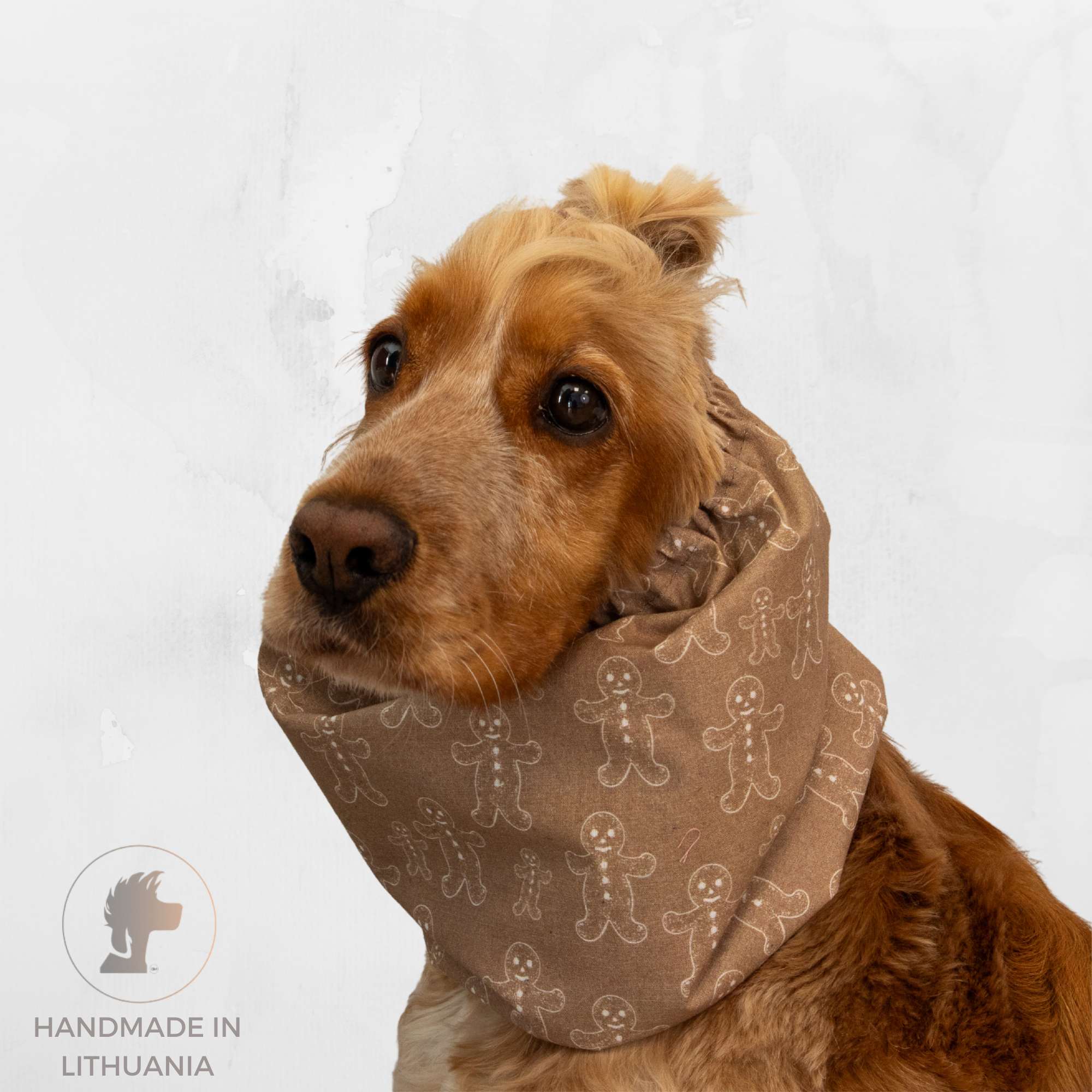 šuo su kalėdiniu snoodu iš Distinguish Me