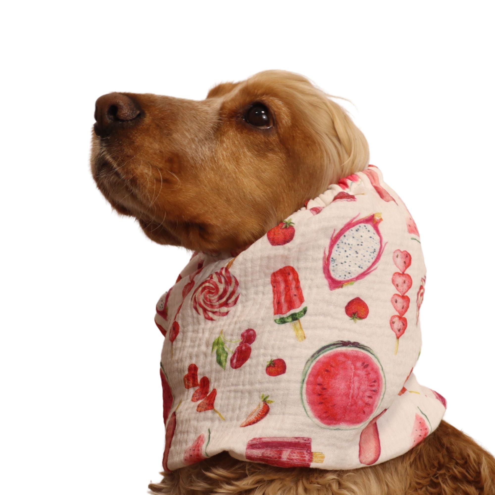 <tc>Medvilninis (muslino) Snoodas Šuniui | Vasaros malonumai</tc>