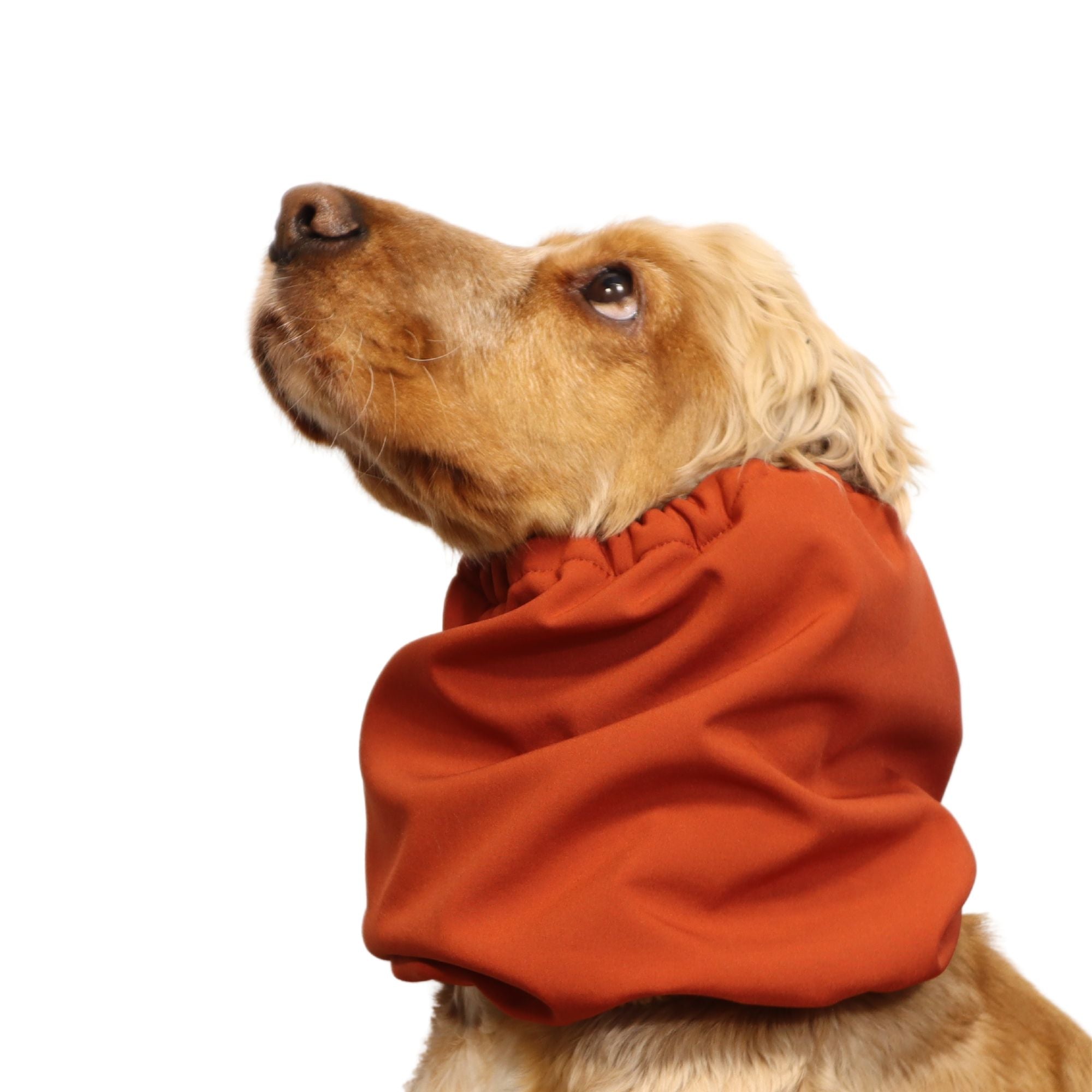 <tc>Vandeniui atsparus žieminis snoodas šuniui | Oranžinė</tc>