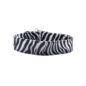 Black and white striped dog collar on a white background