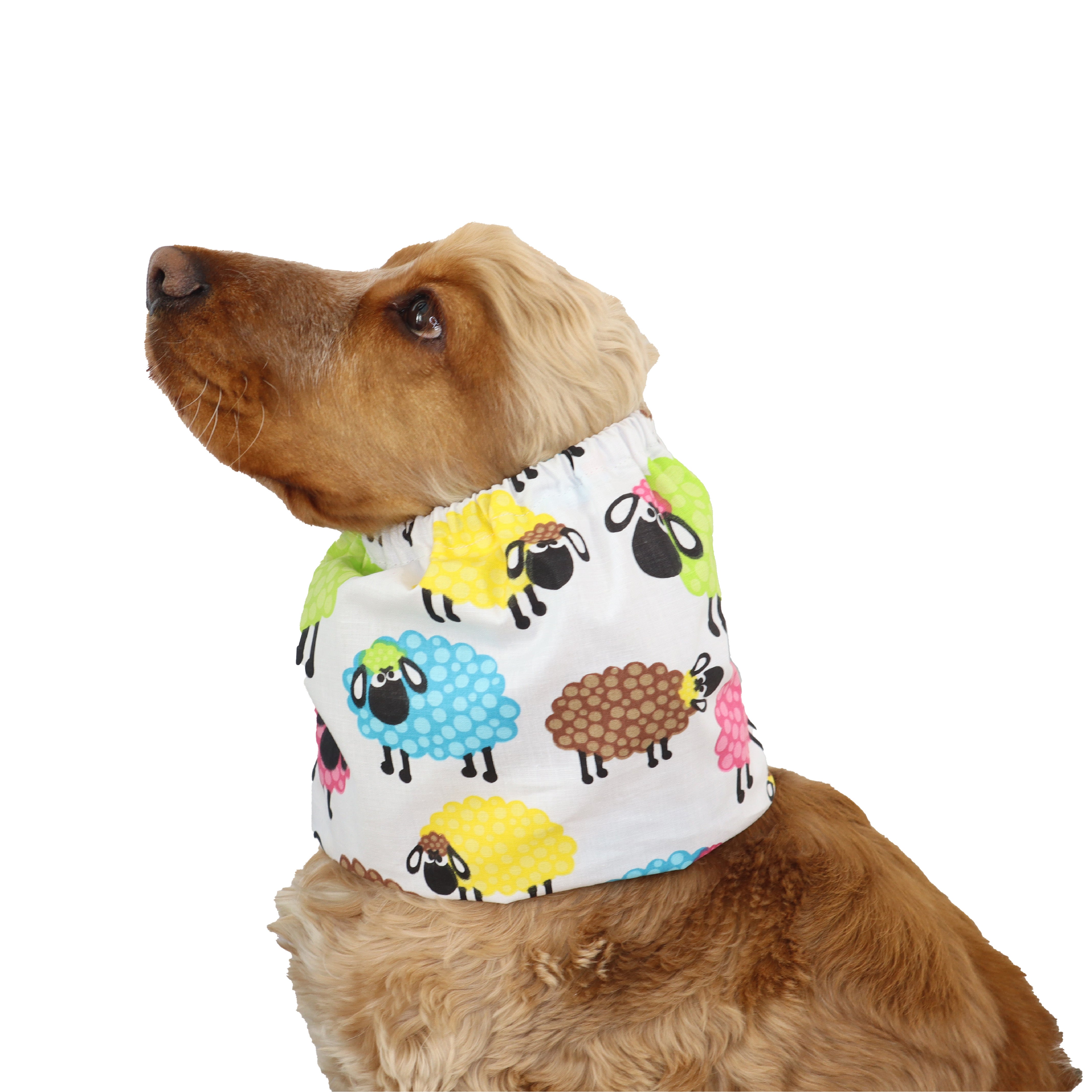 Cotton Dog Snood Colorful Distinguish Me
