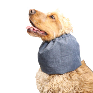 Šuns Kaklo Mova Distinguish Me