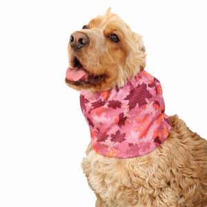 Snoodas šuniui Distinguish Me