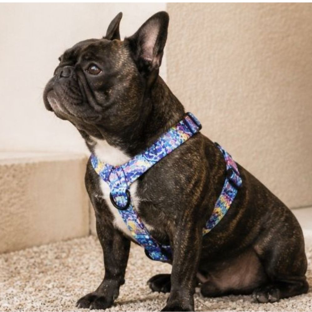 DOG HARNESSES
