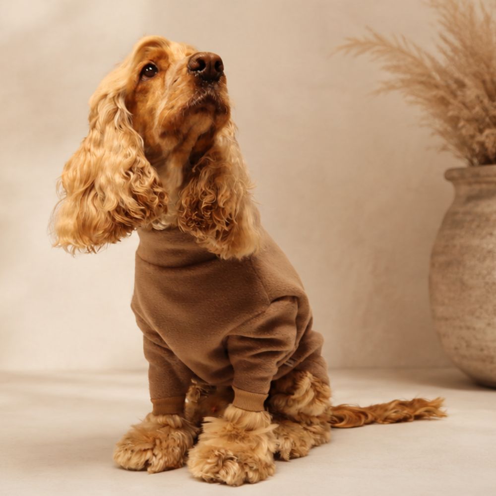 DOG APPAREL