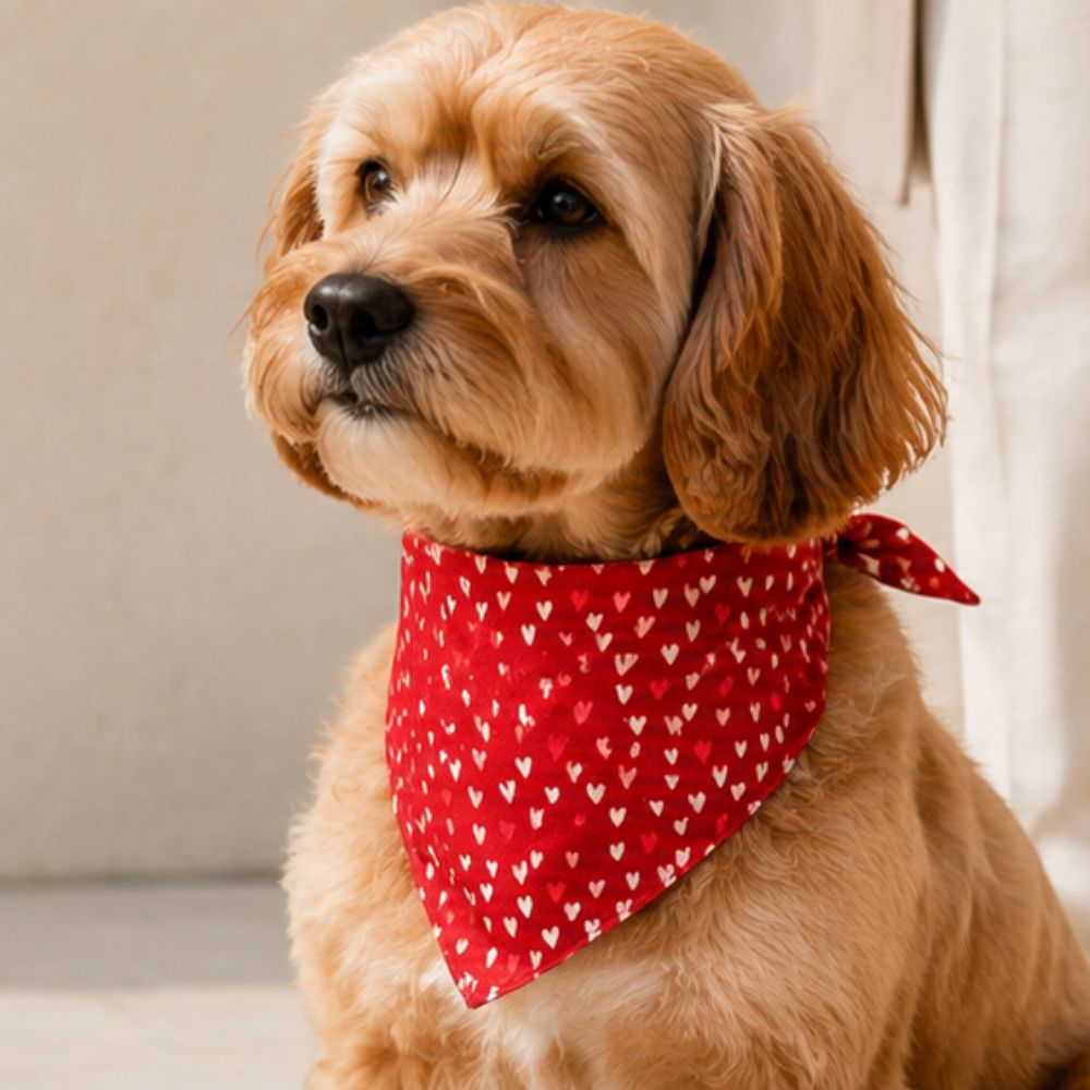 Dog Bandana by Distinguish Me