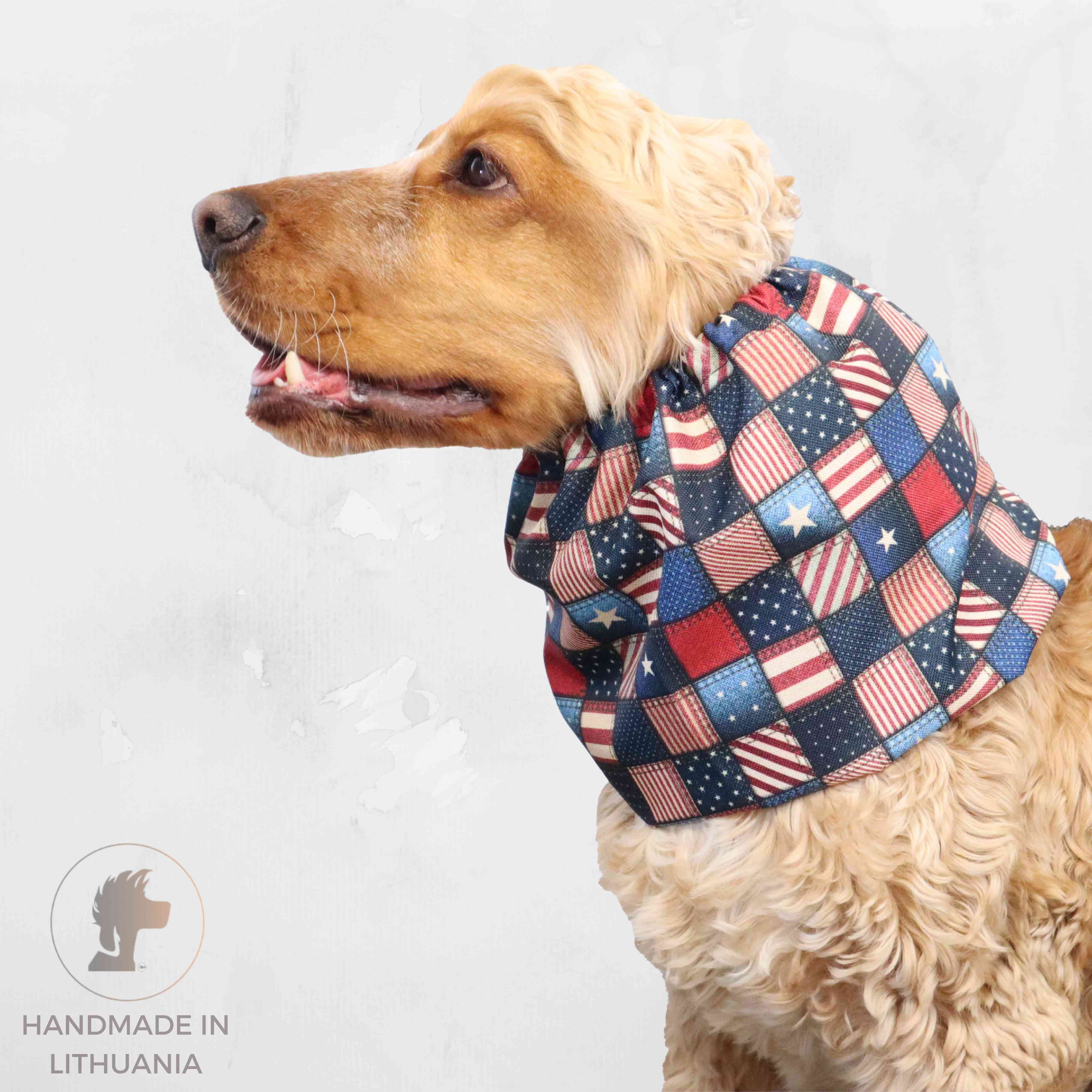 American cocker spaniel snood Distinguish Me