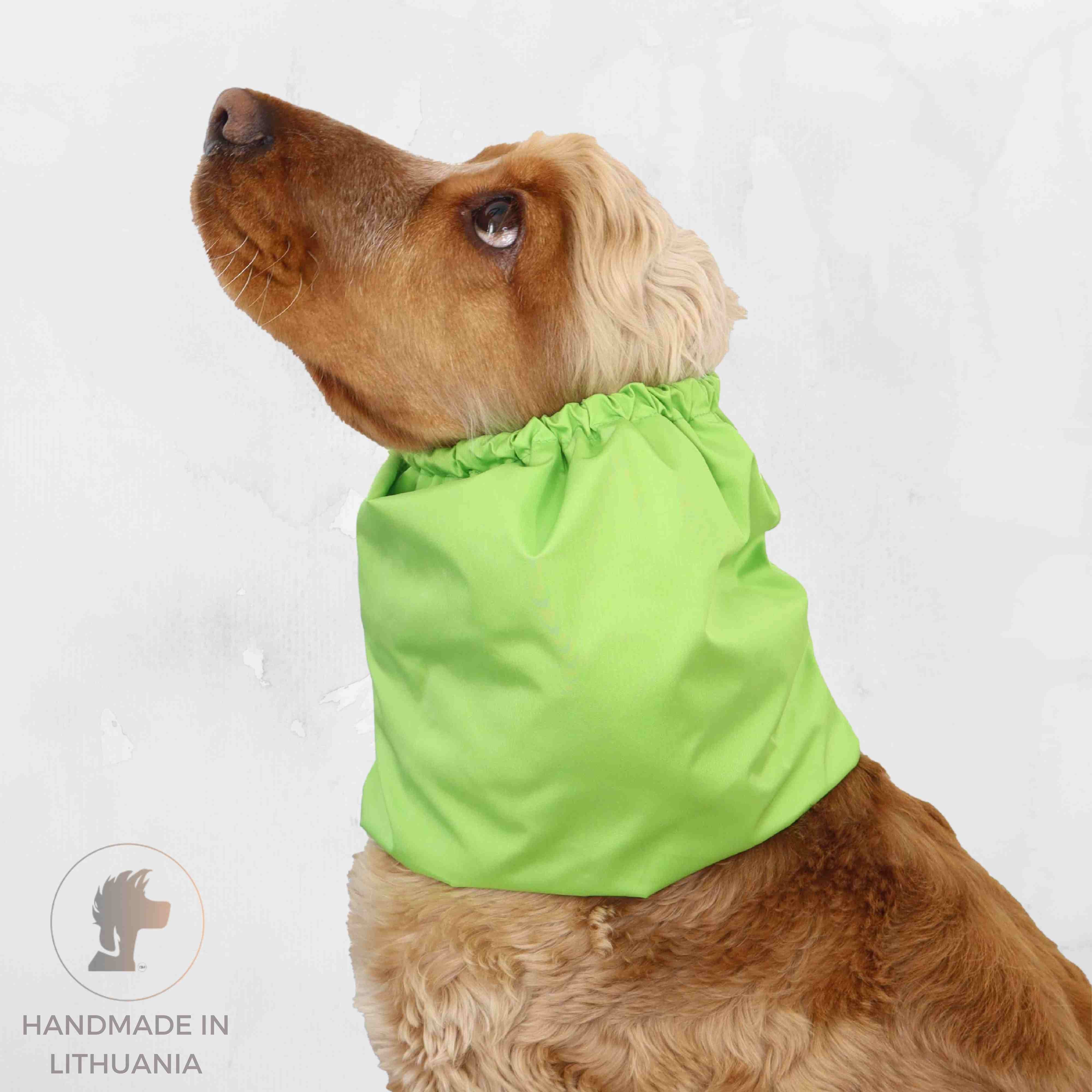 Apple Green Feeding Dog Snood by Distinguish Me