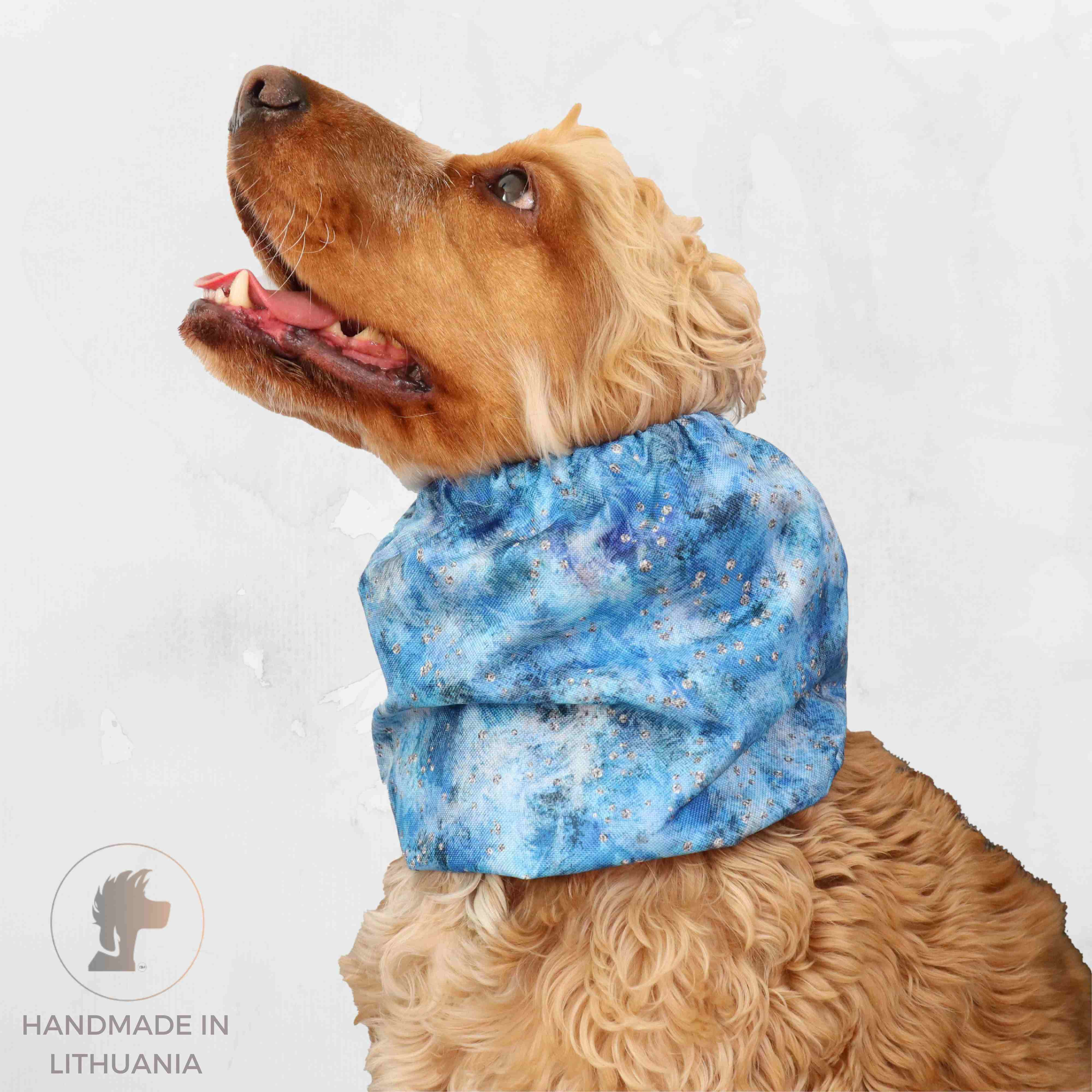 Snood for dog by Distinguish Me