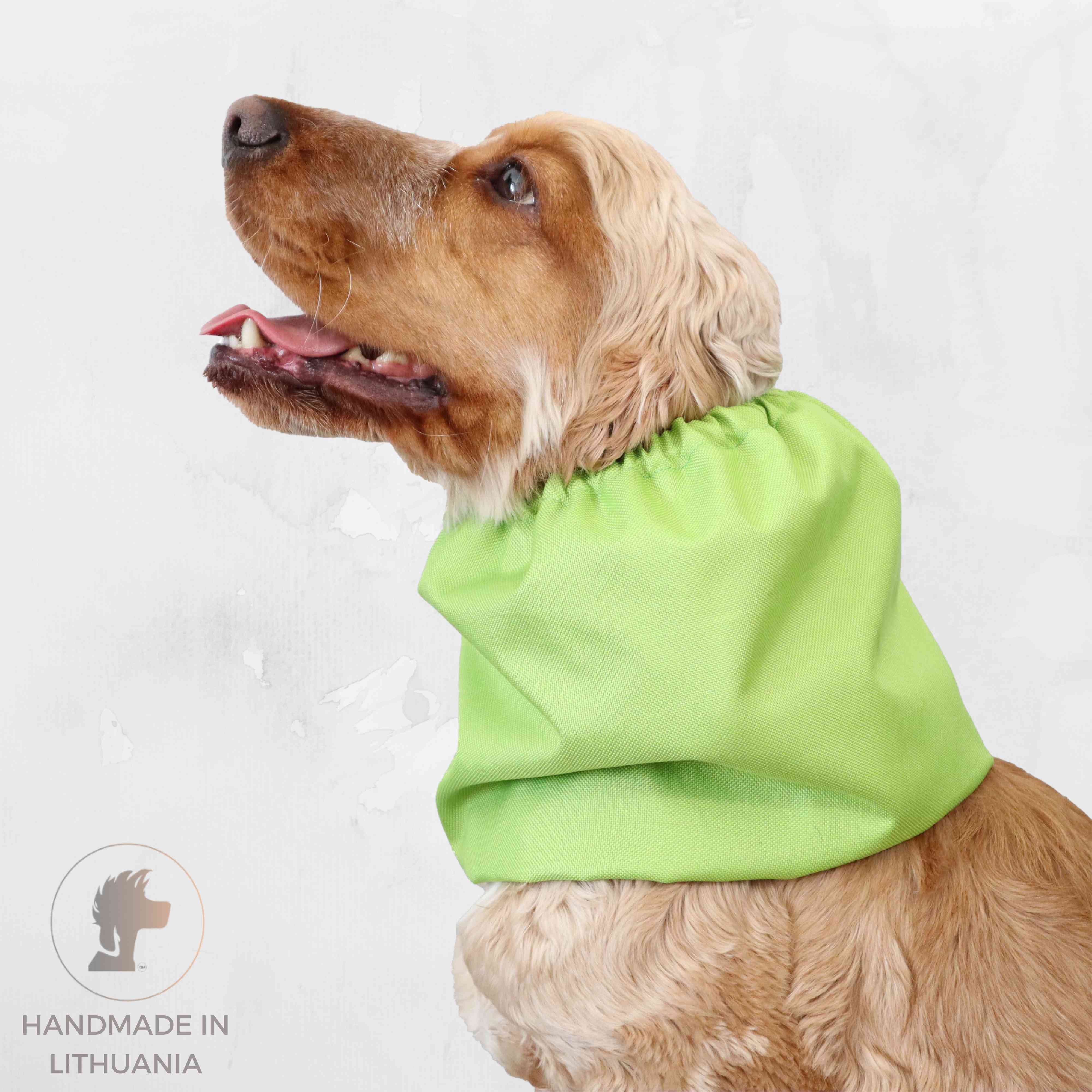 Best Dog Snood Apple Green by Distinguish Me