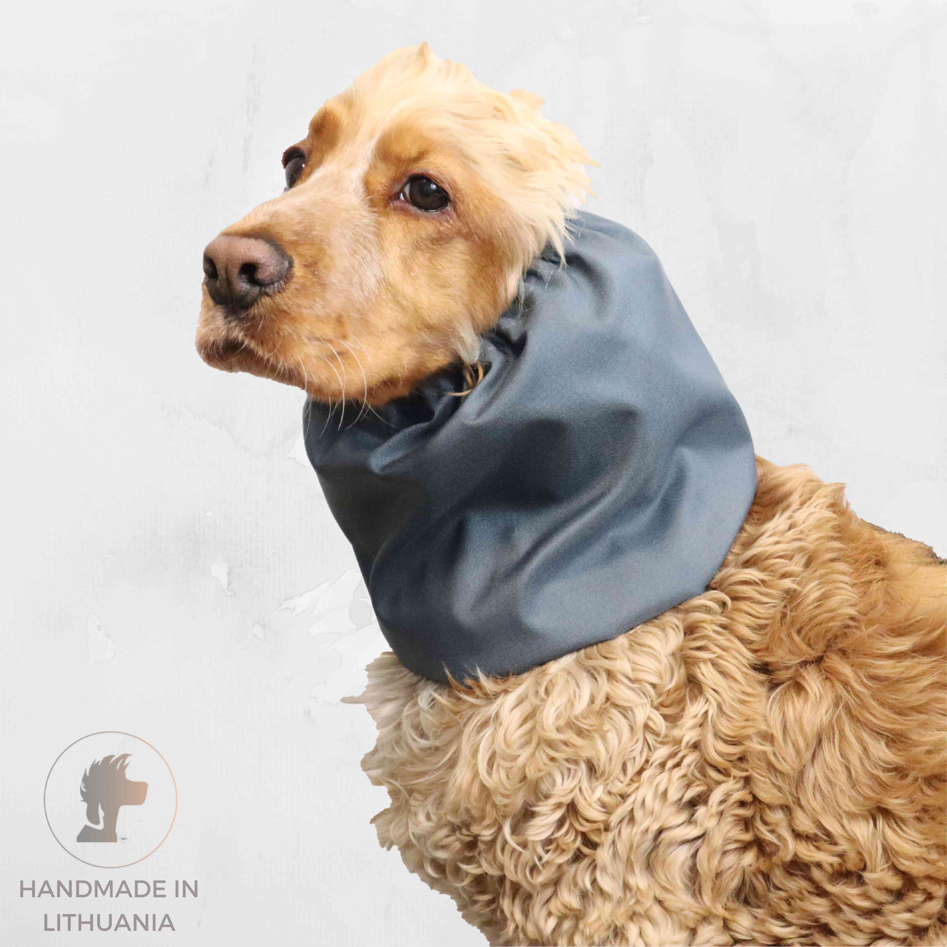 Best Dog Snood for dog Distinguish Me