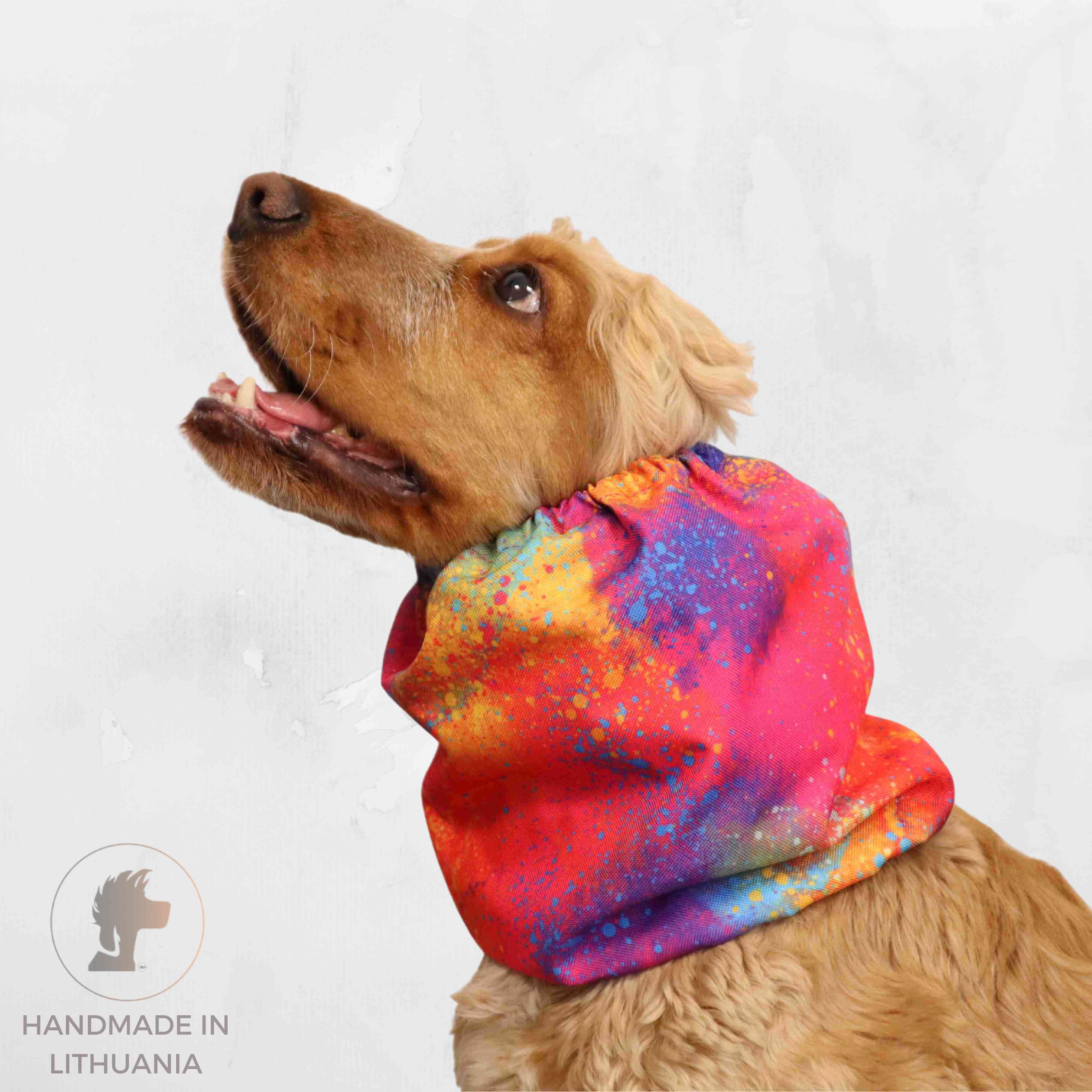 Best Waterproof Dog Snood Crazy painting by Distinguish Me