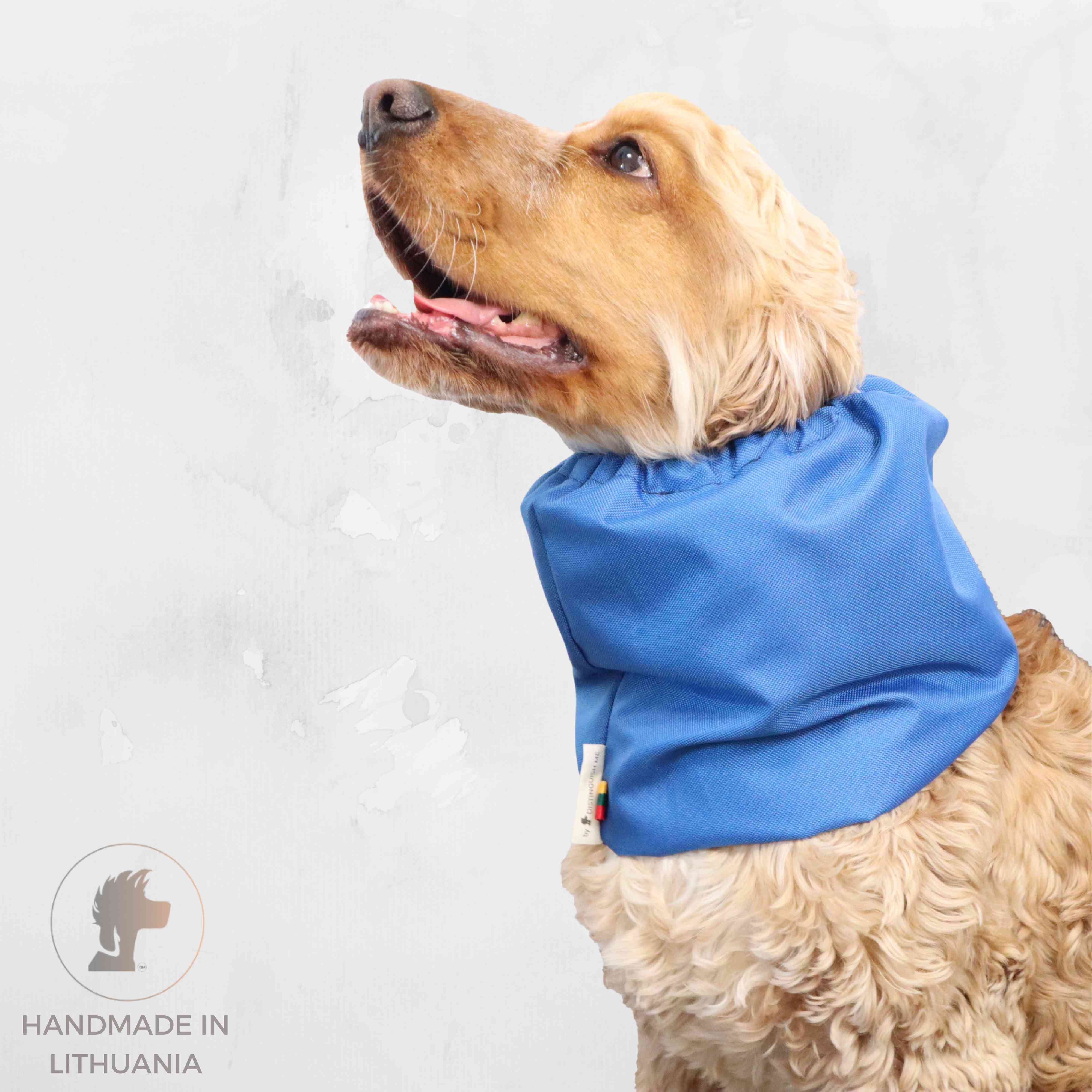 Best Blue Waterproof dog Snood Distinguish Me