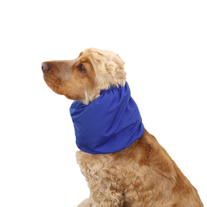 Dog with blue feeding snood by Distinguish Me