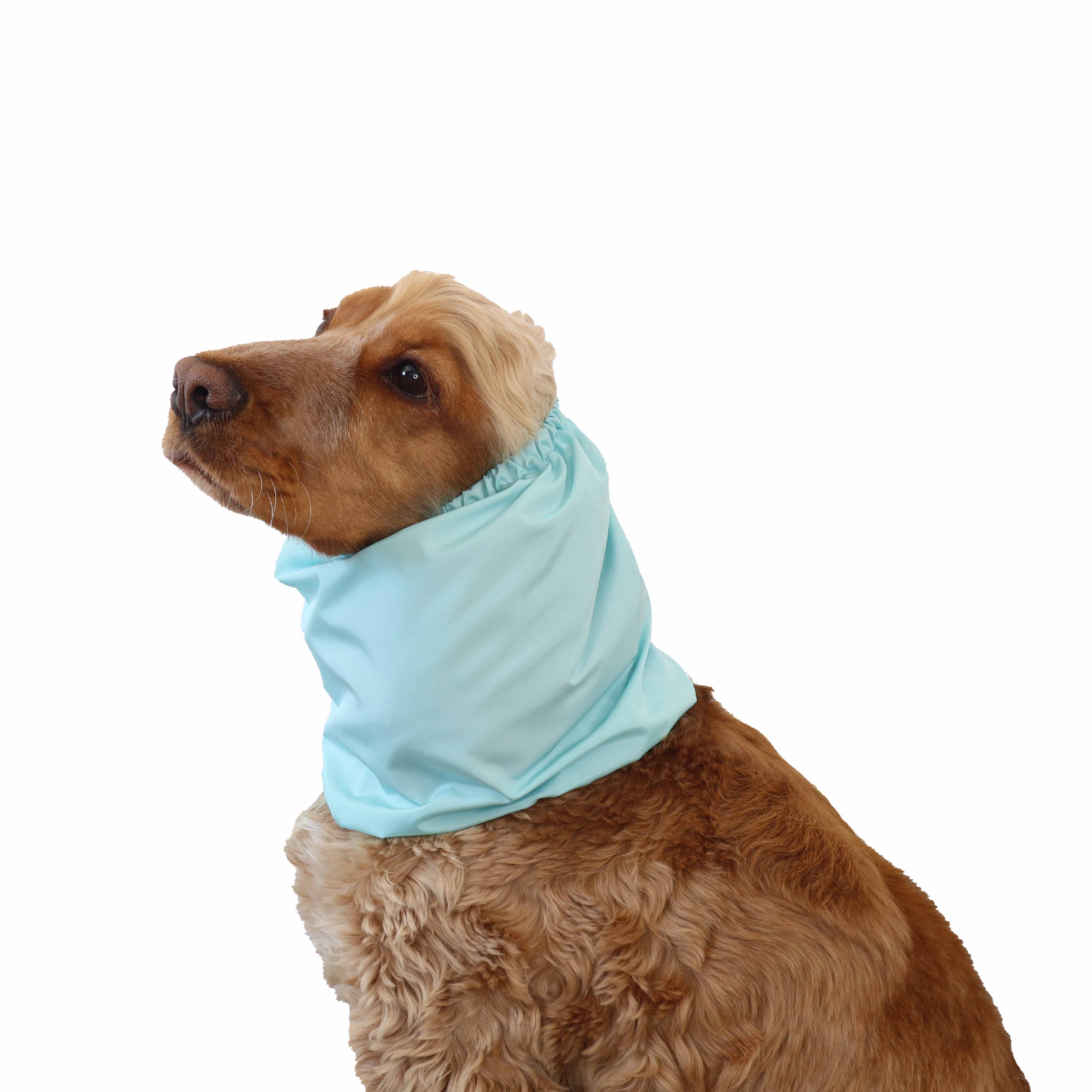 Blue Dog Snood for Dog Feeding by Distinguish Me