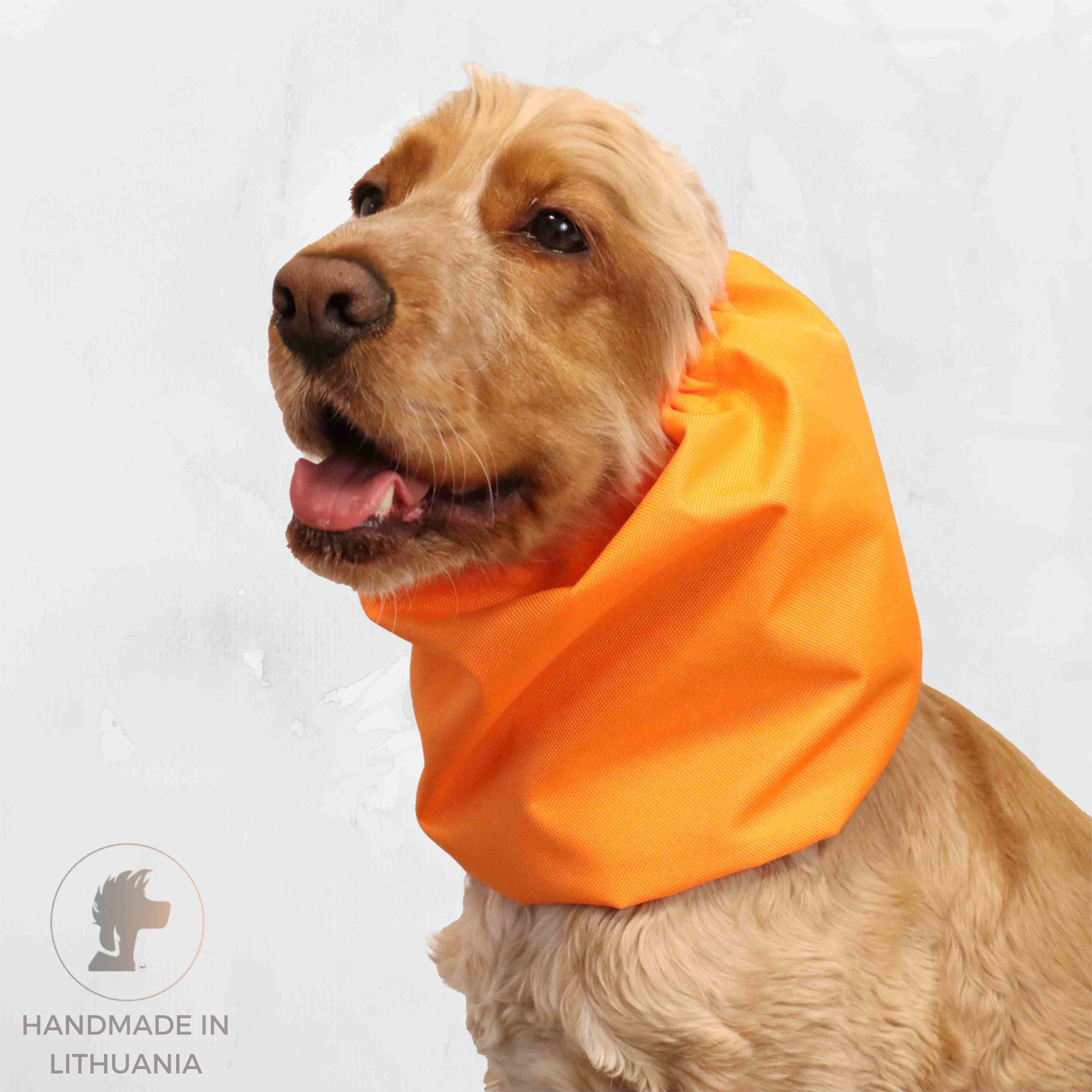 Bright Dog Snood Orange by Distinguish Me