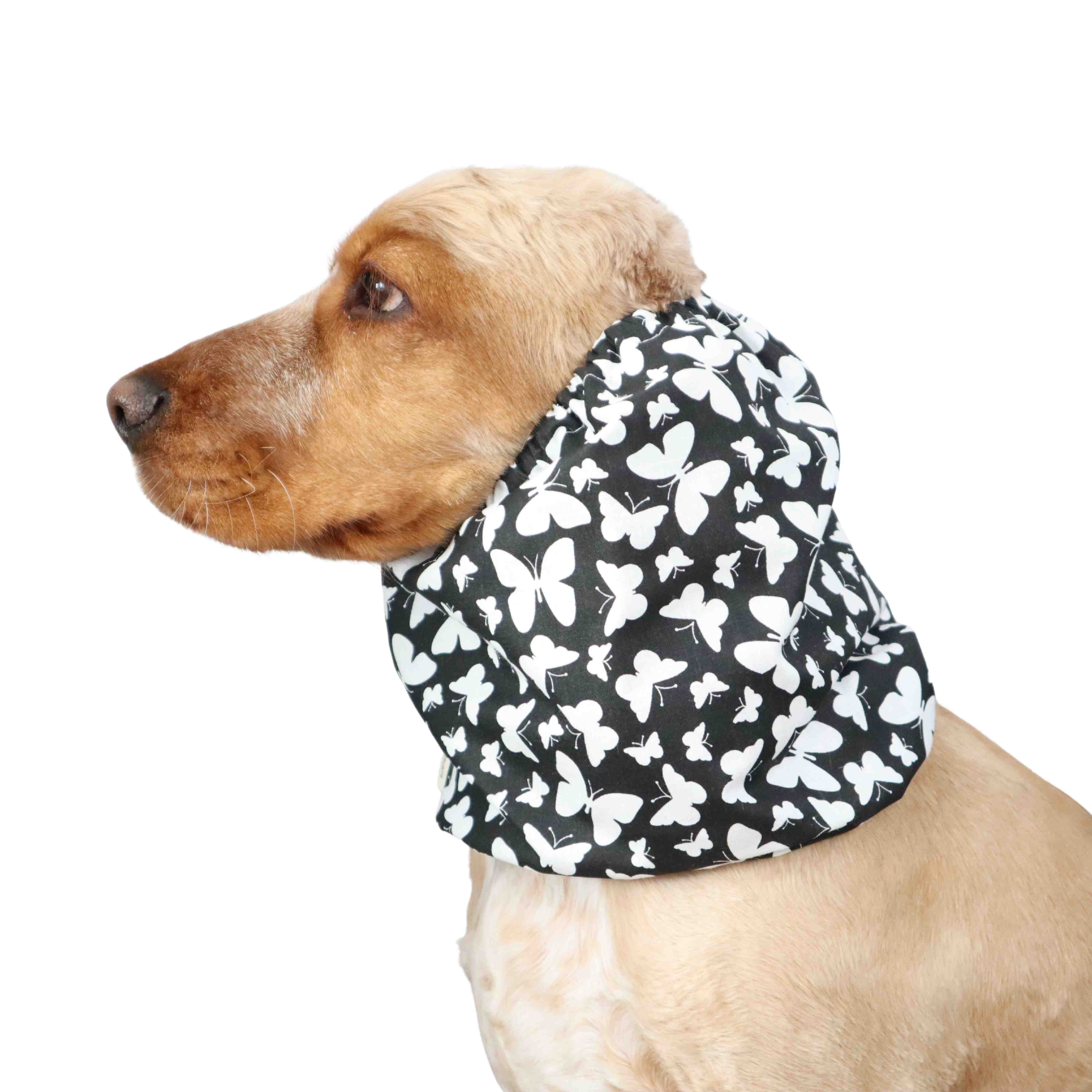 Dog Snood with White Butterflies by Distinguish Me 