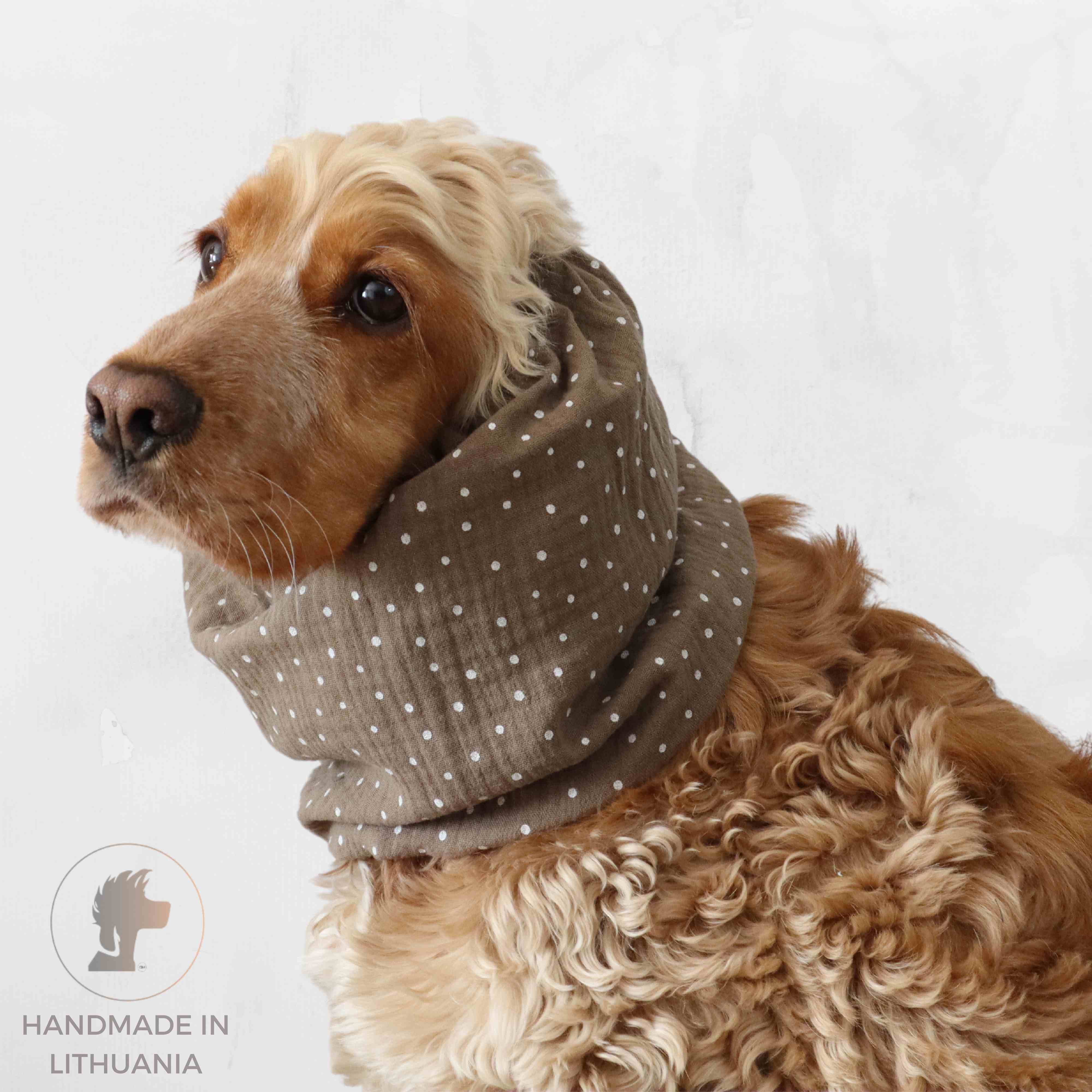 Dog wearing snood by Distinguish Me brand