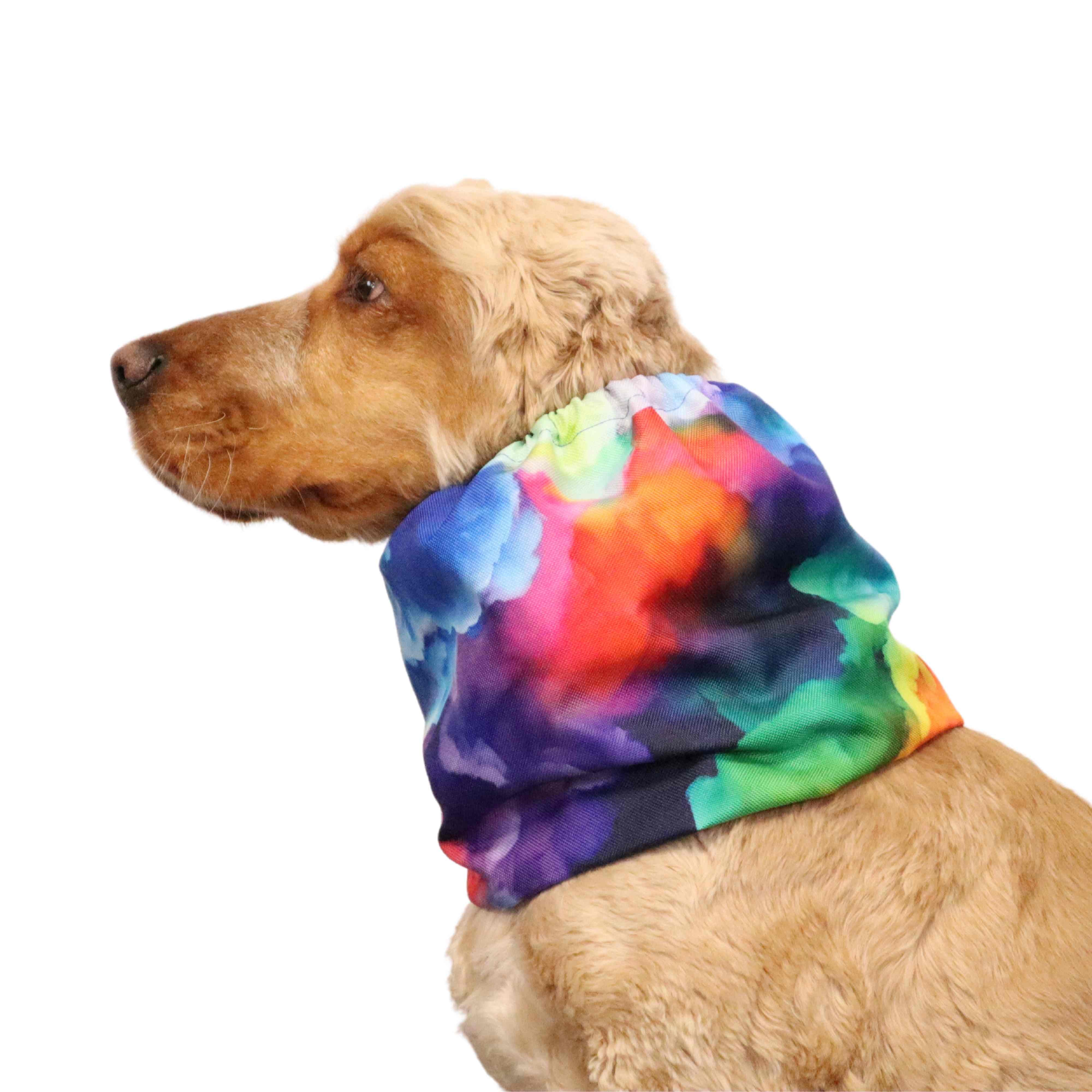 brown cocker spaniel with waterproof dog snood decorated with colourful clouds print  created by distinguish me 