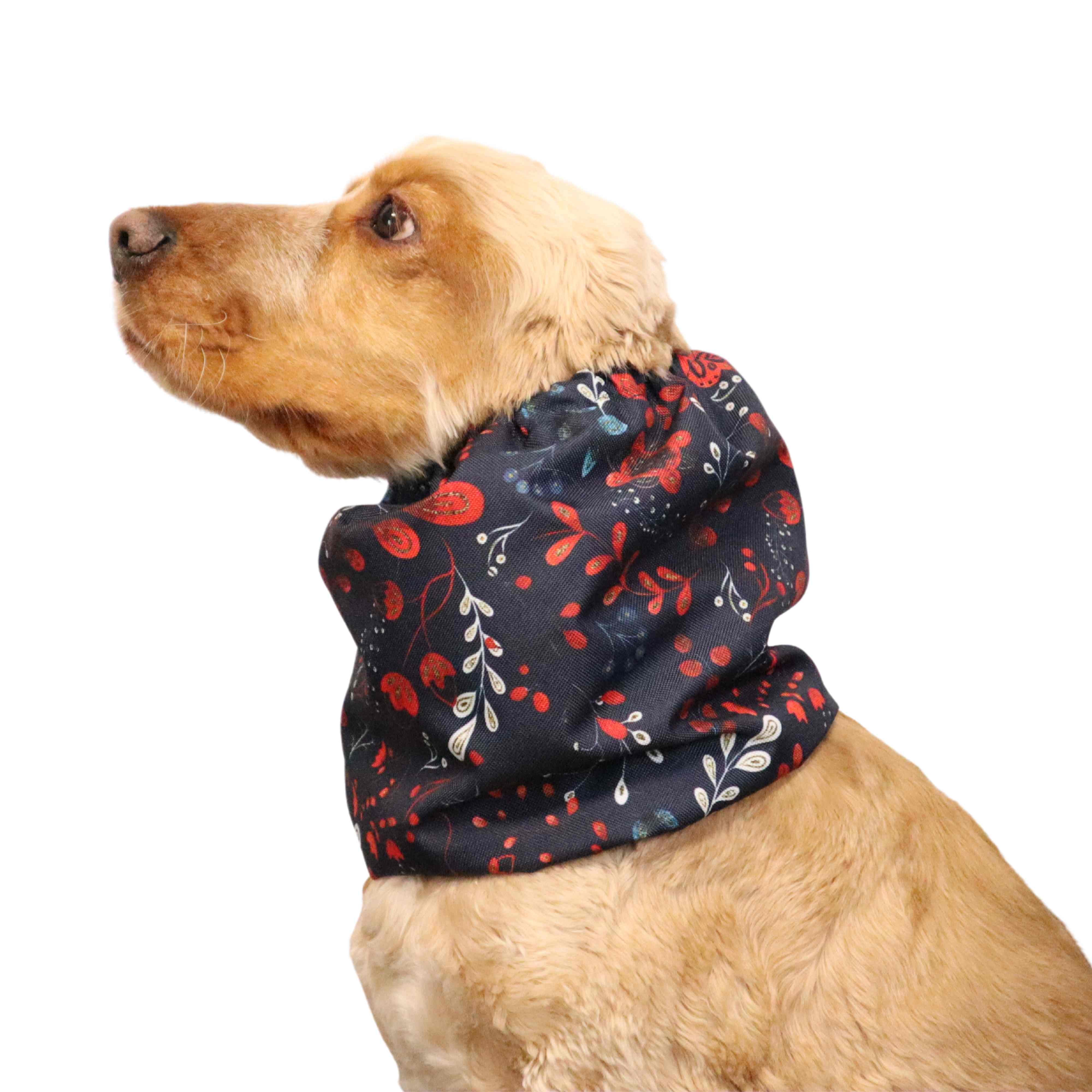 brown cocker spaniel with navy blue waterproof daily dog snood decorated with red and white flowers created by distinguish me