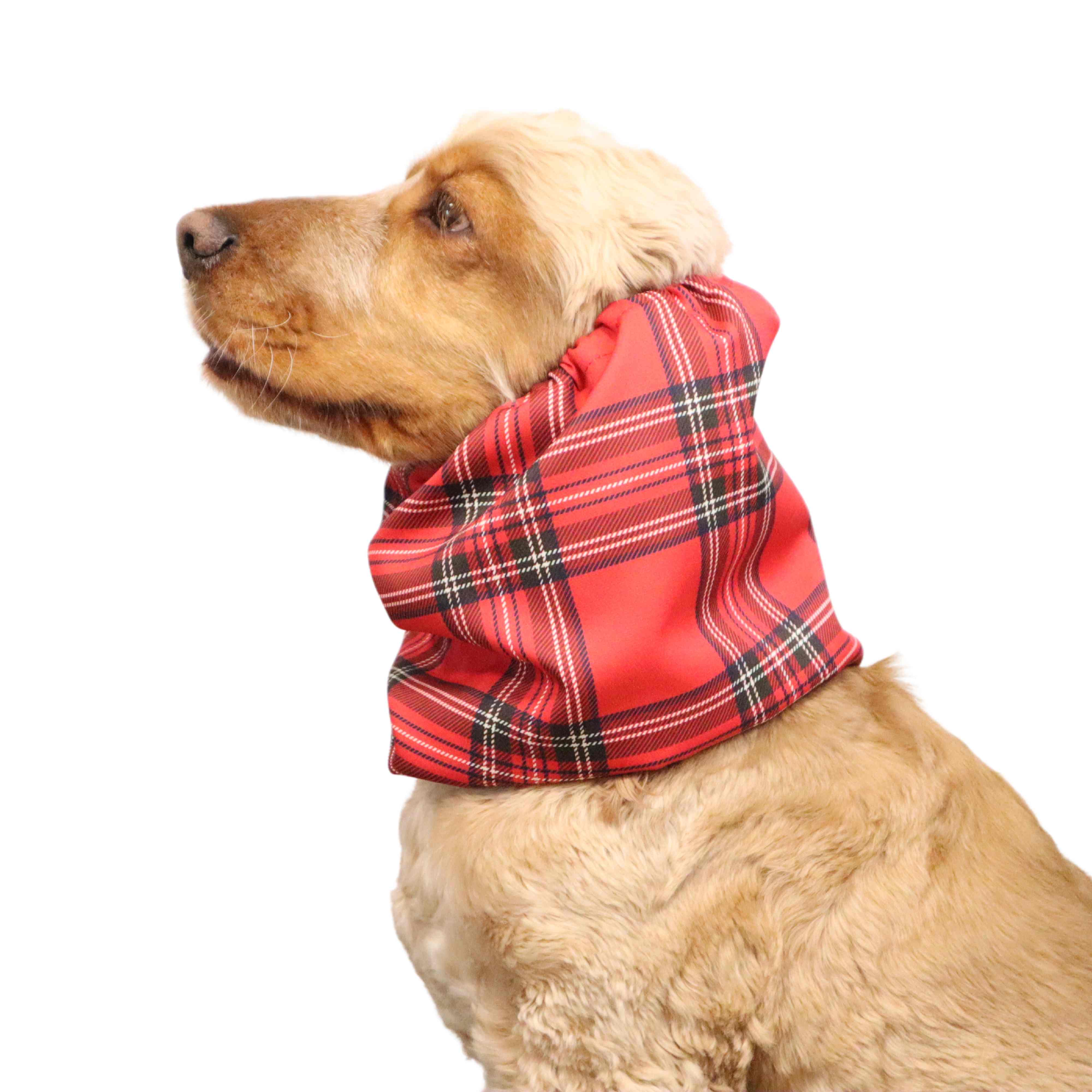 Dog wearing Feeding Dog Snood  Lightweight Red Tartan Distinguish Me