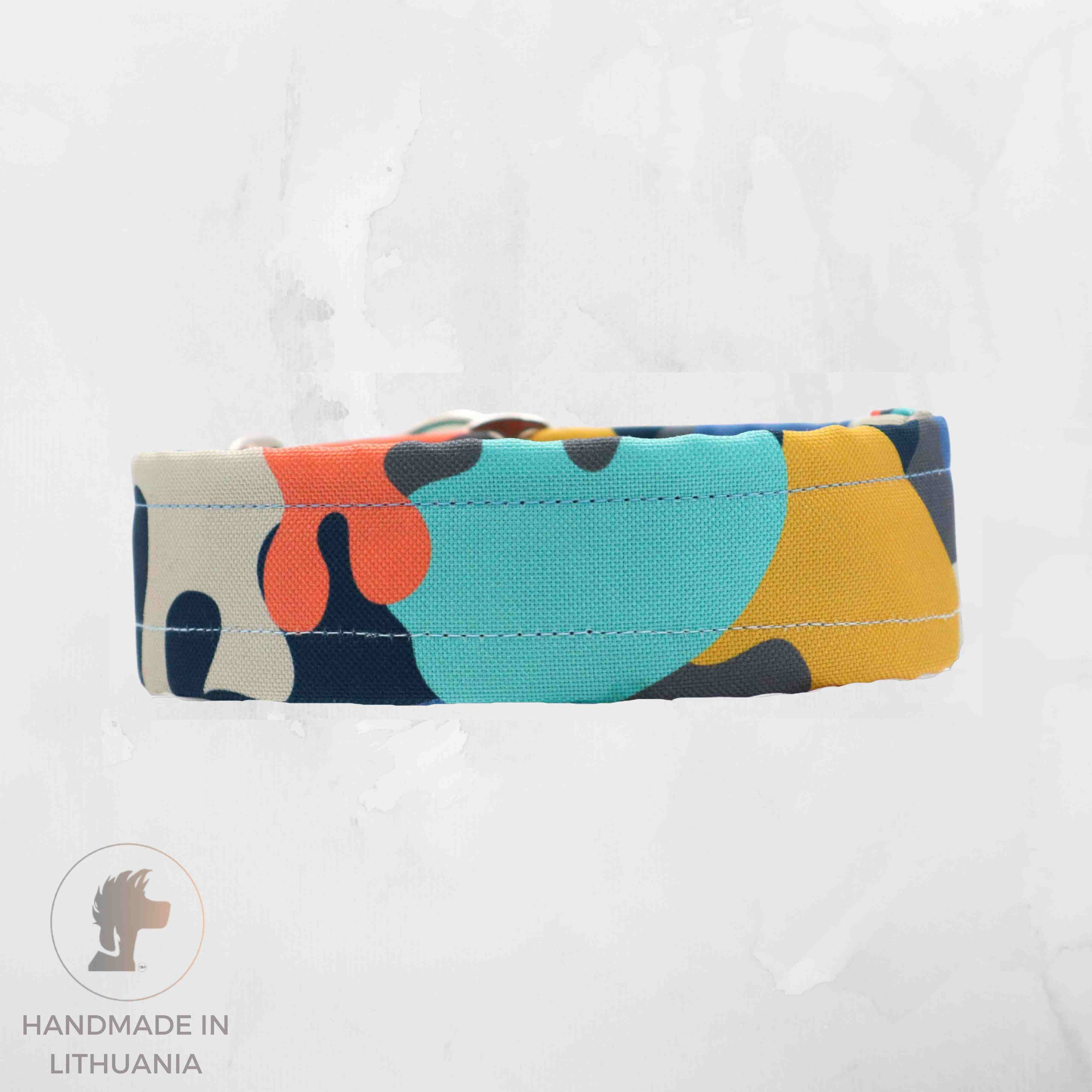 Colorful Dog Collar by Distinguish Me