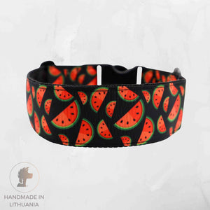 Colorful Watermelon Print Dog Collar Distinguish me