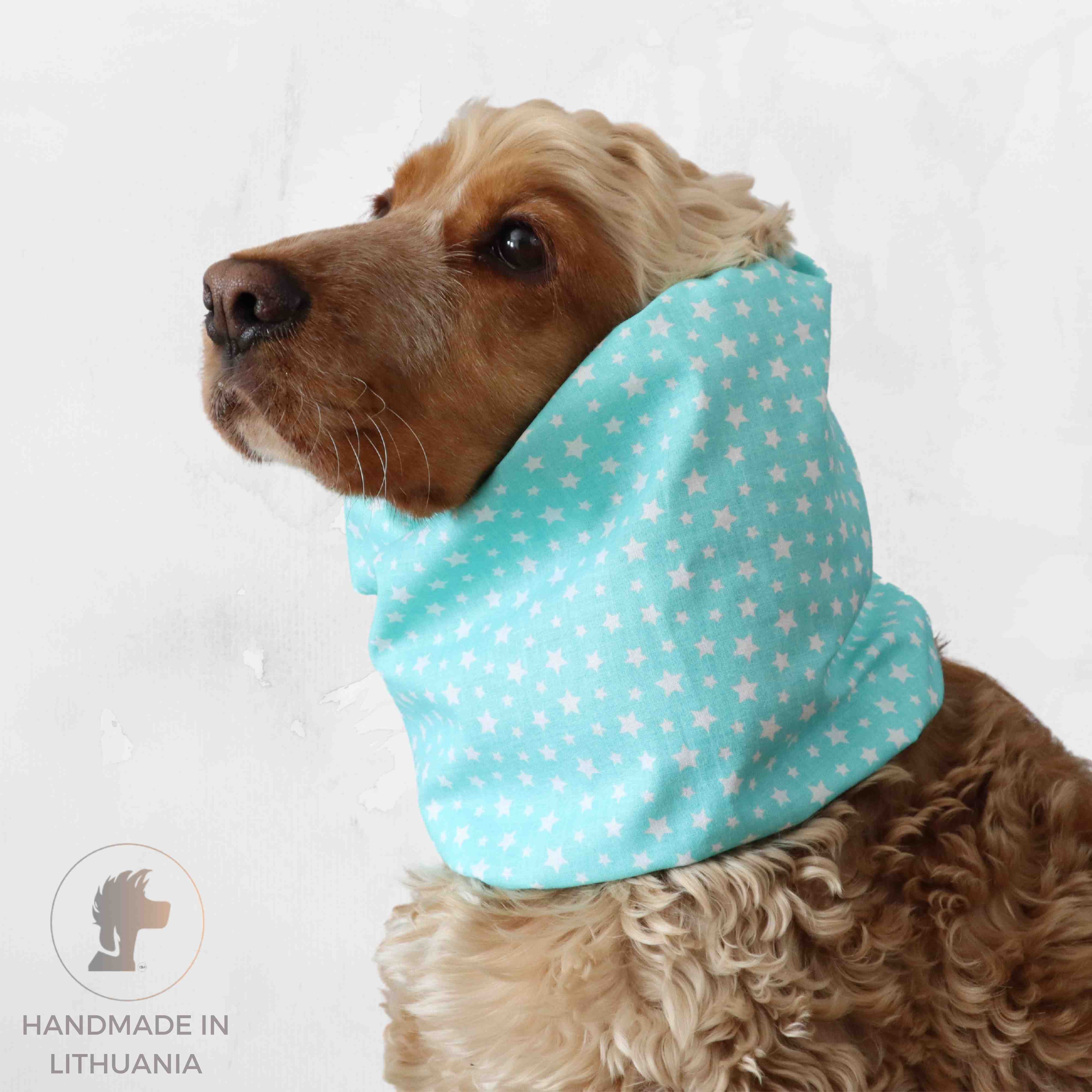 Cotton snood for dog Mint stars By Distinguish me