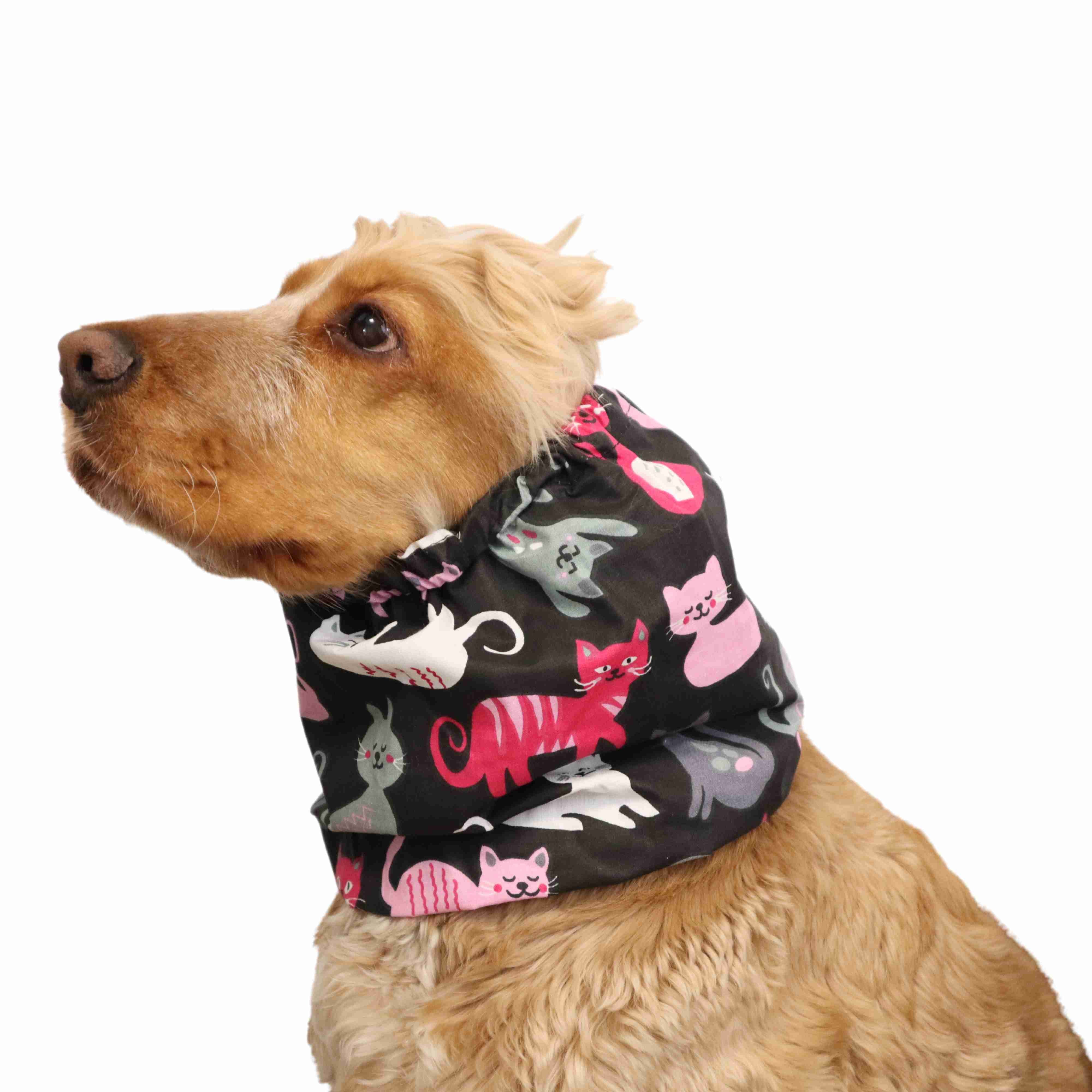 funny cotton dog snood Distinguish me