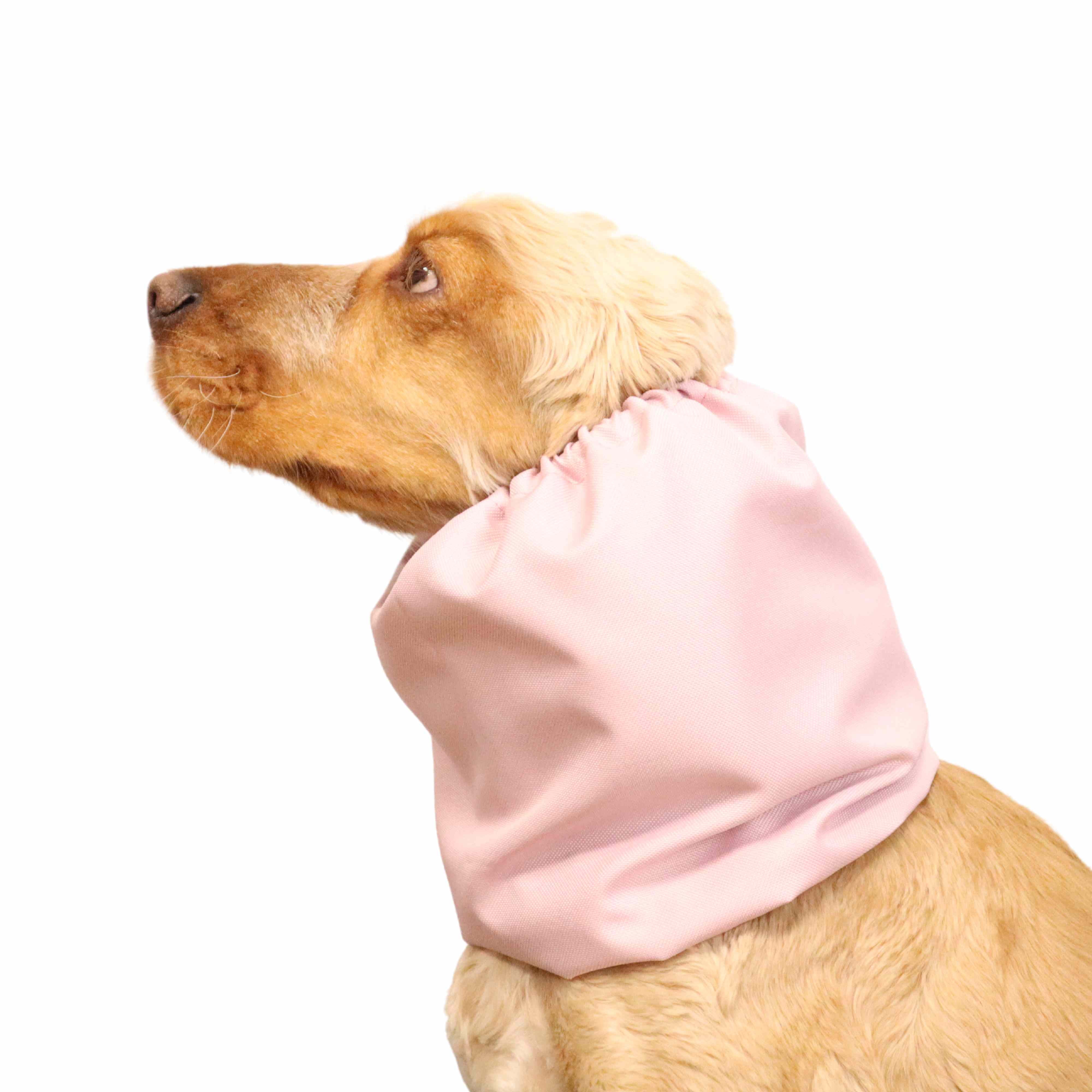 Dog With Ear Protector by Distinguish Me