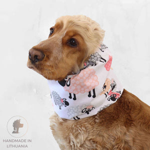 Snood for dog Distinguish Me