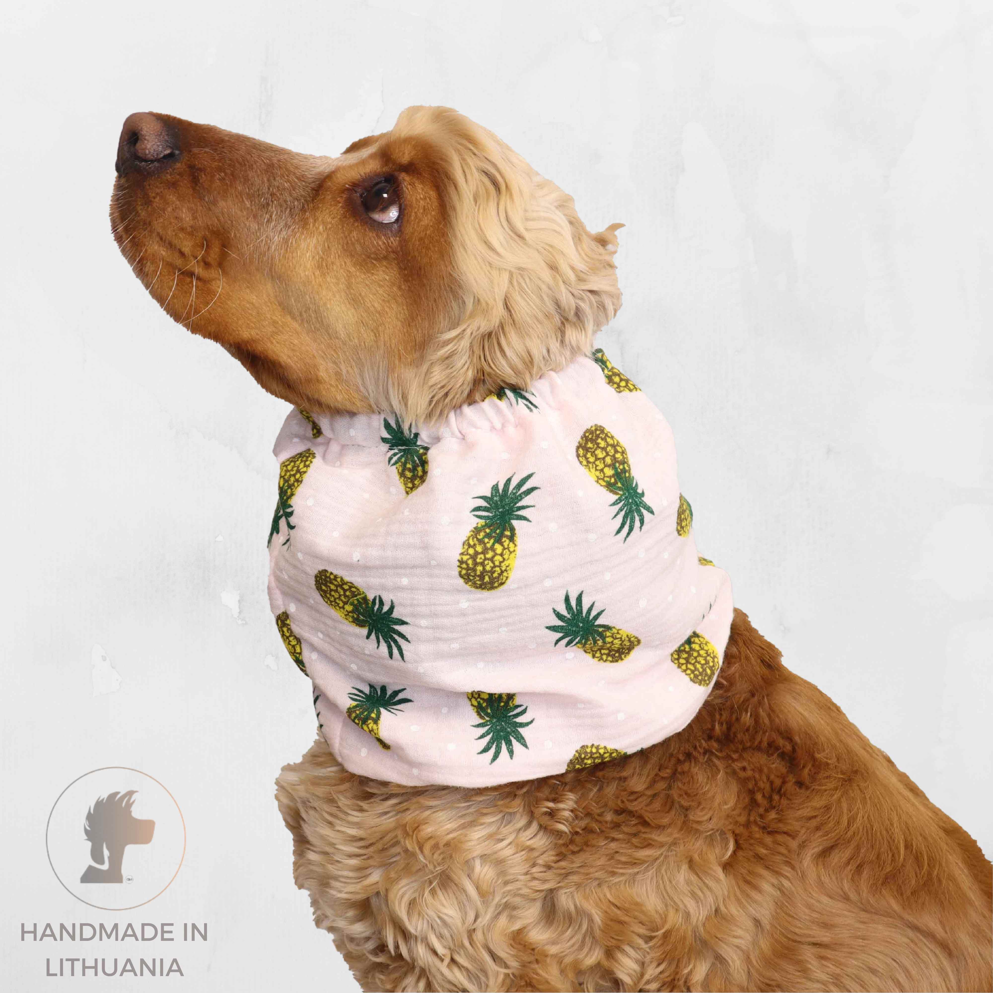 Best Snood For Dog Summer by Distinguish Me