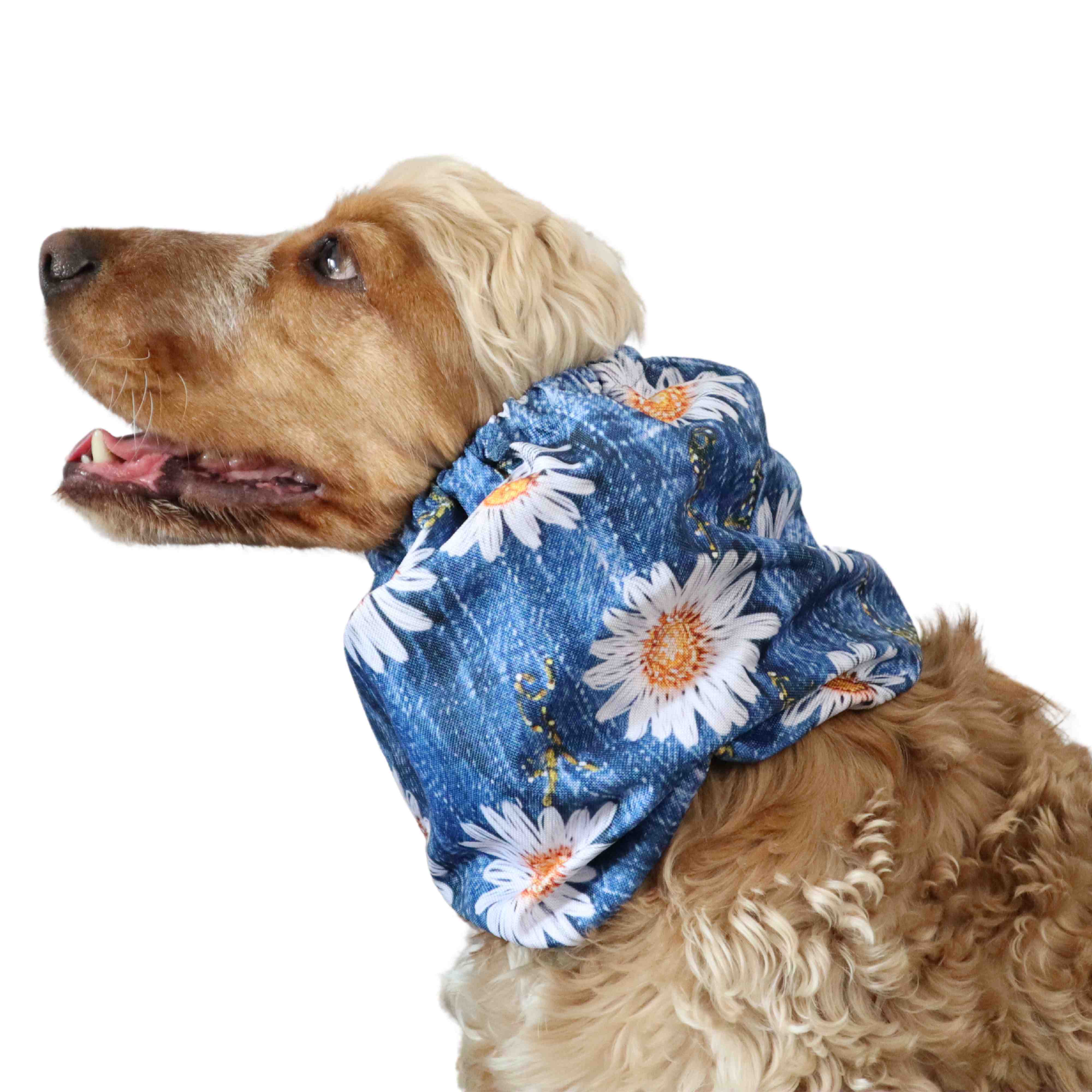 Distinguish me dog snood with daisy pattern