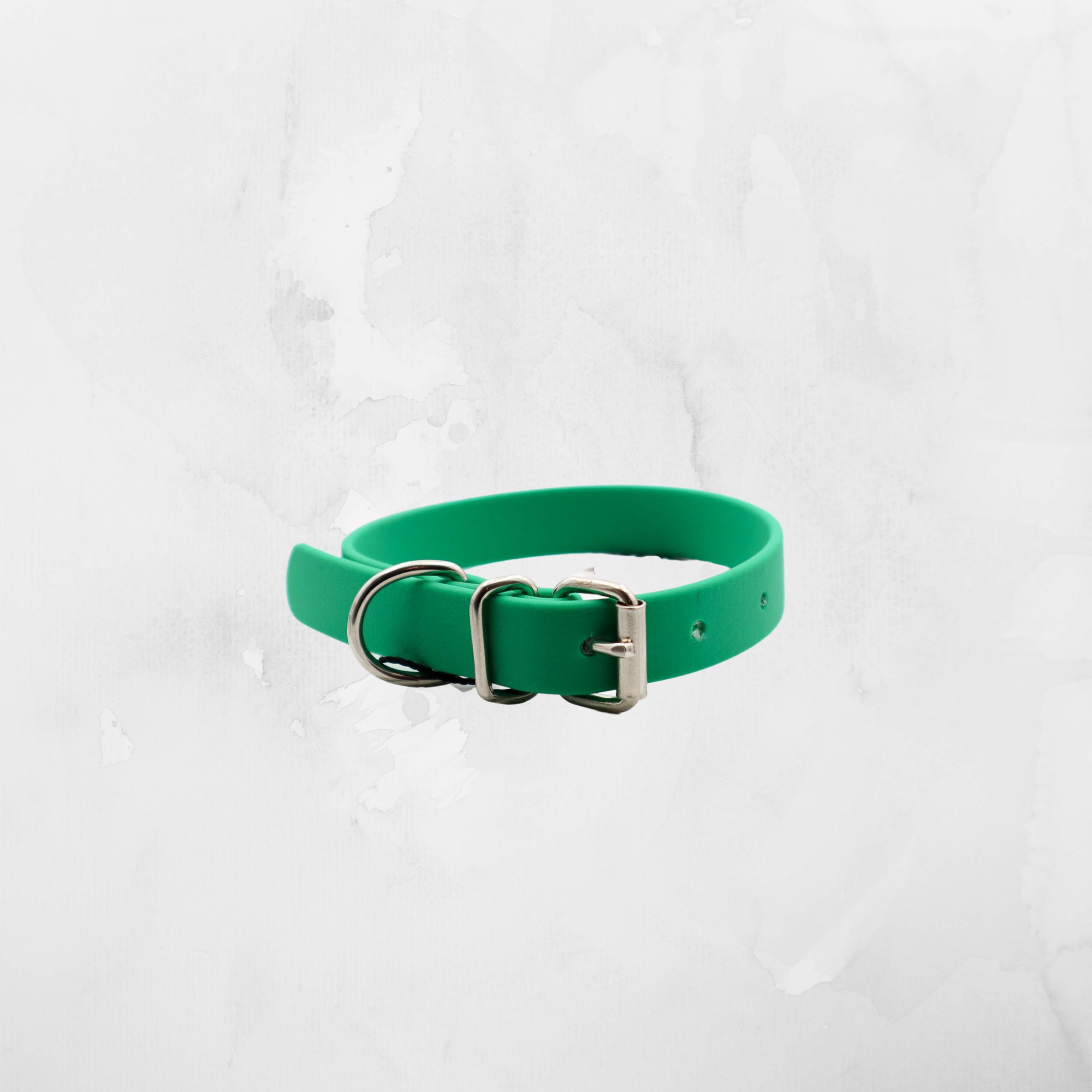 Vibrant green biothane dog collar featuring a polished silver buckle, set against a white textured backdrop Vendor Distinguish Me