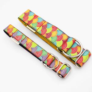 limited slip dog collar by distinguish me