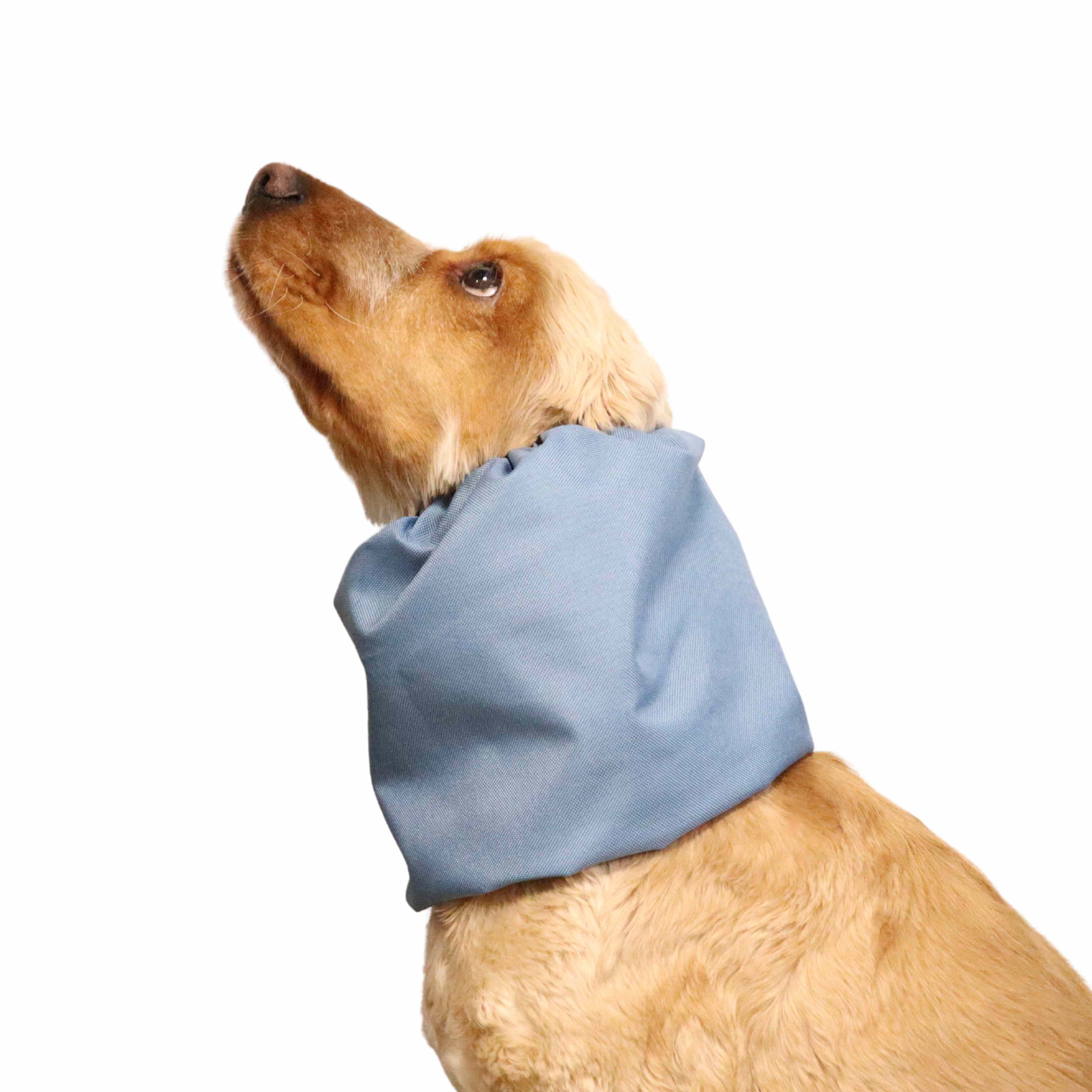 Dog wearing Petrol blue dog snood by Distinguish Me