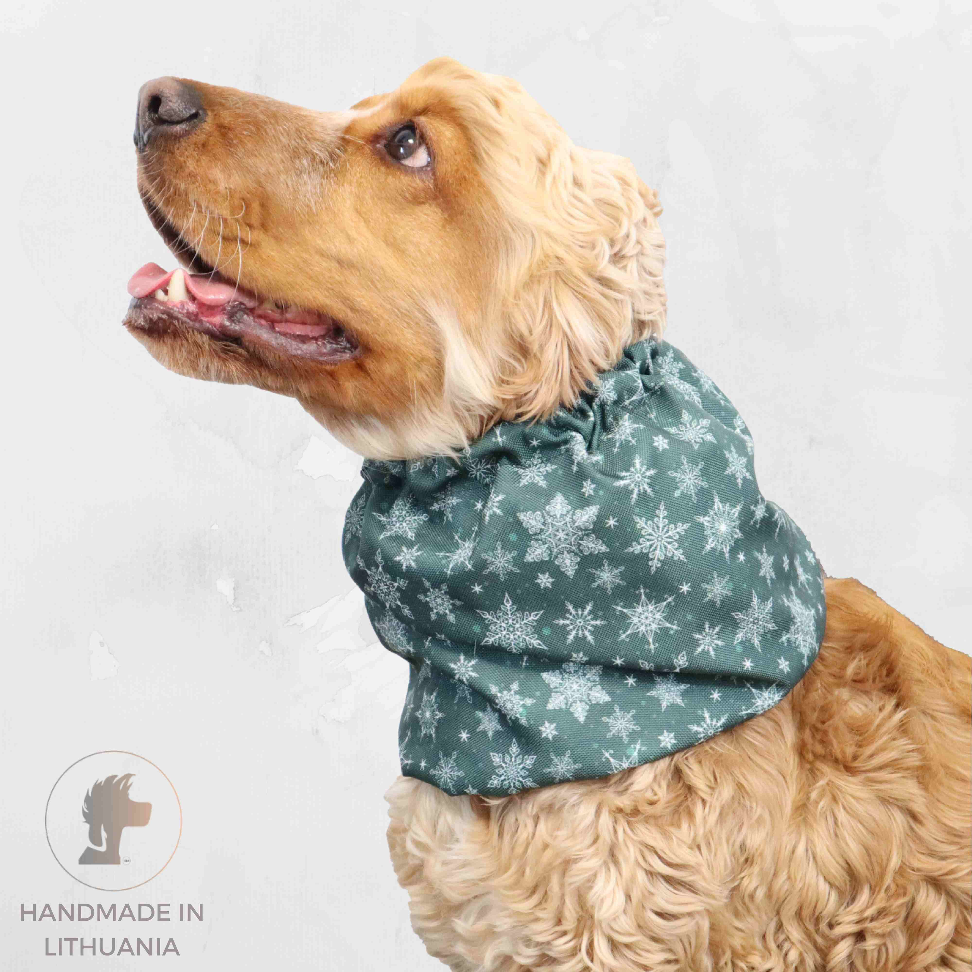 Dog Snood For Christmas Snowflakes in Green Distinguish Me