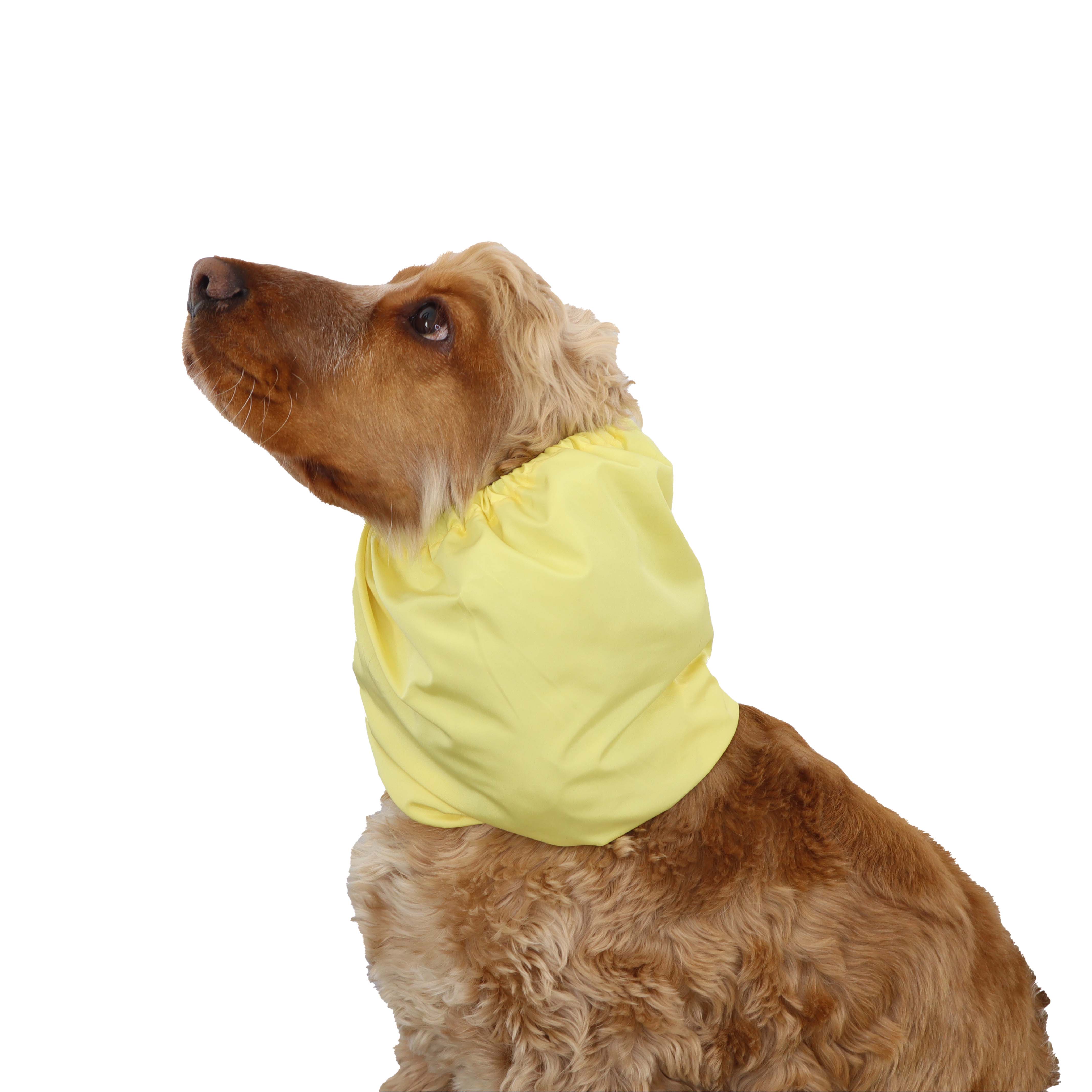 Dog with yellow snood by Distinguish Me