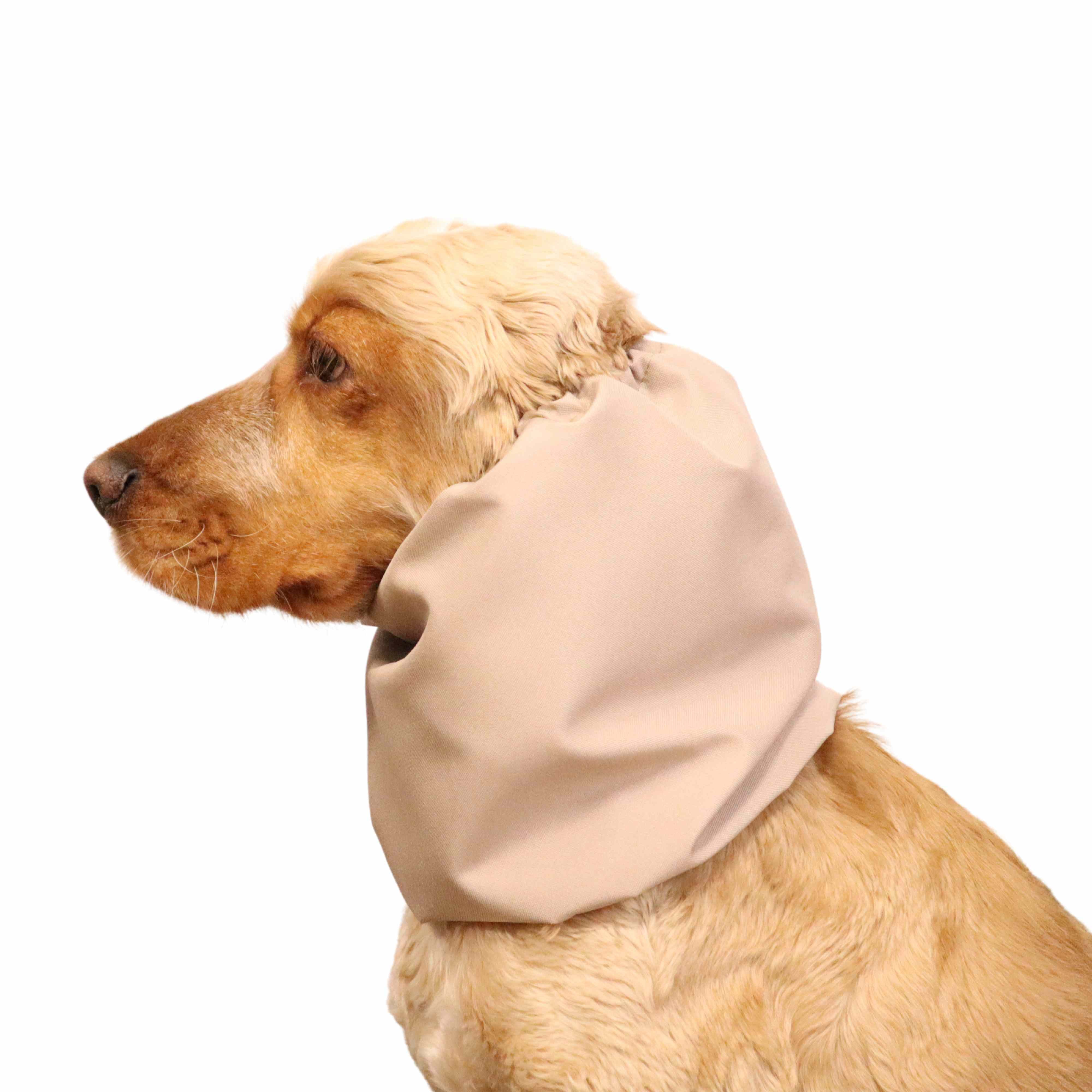 Dog With Cream Snood by Distinguish Me