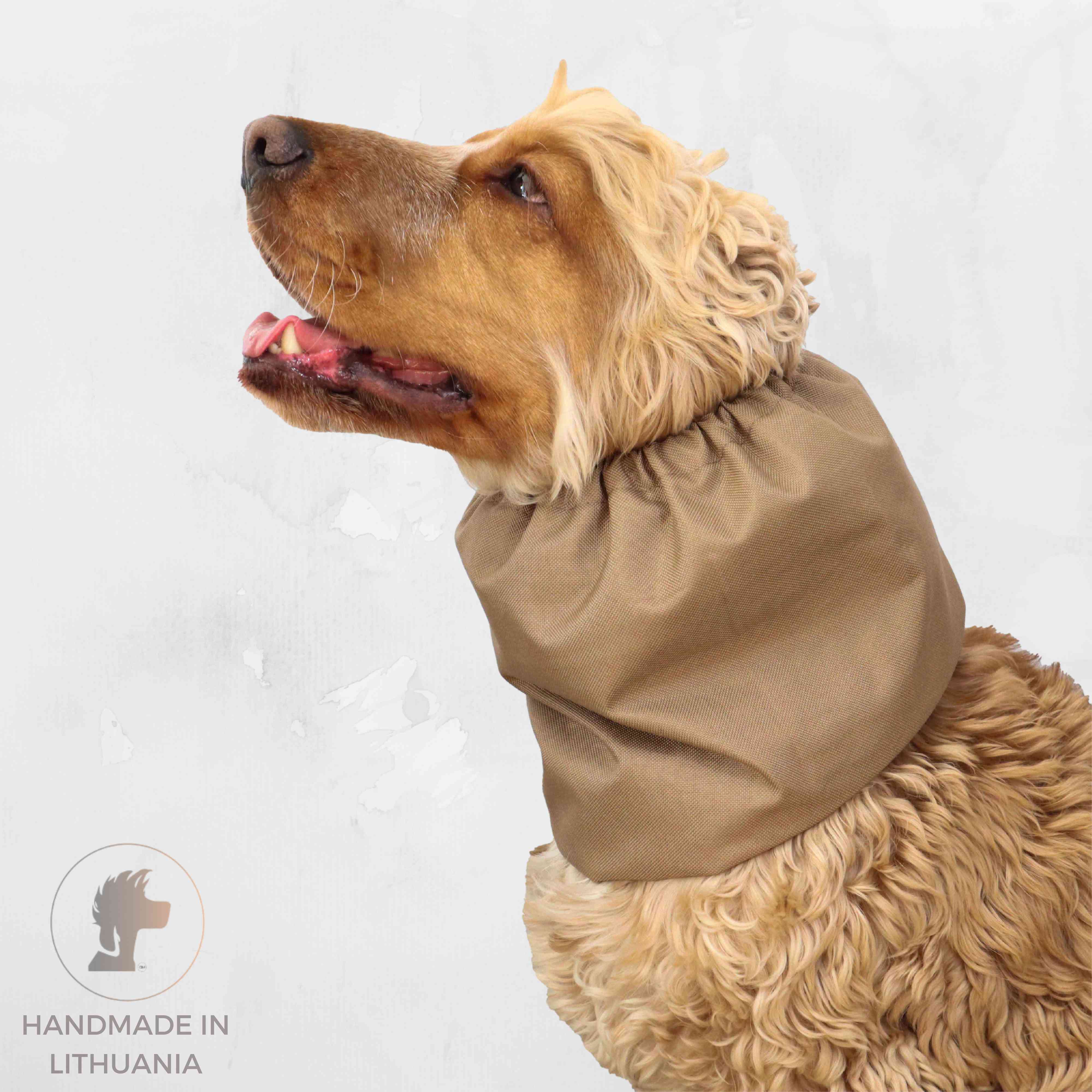 Dog snood for eating Beige Distinguish Me