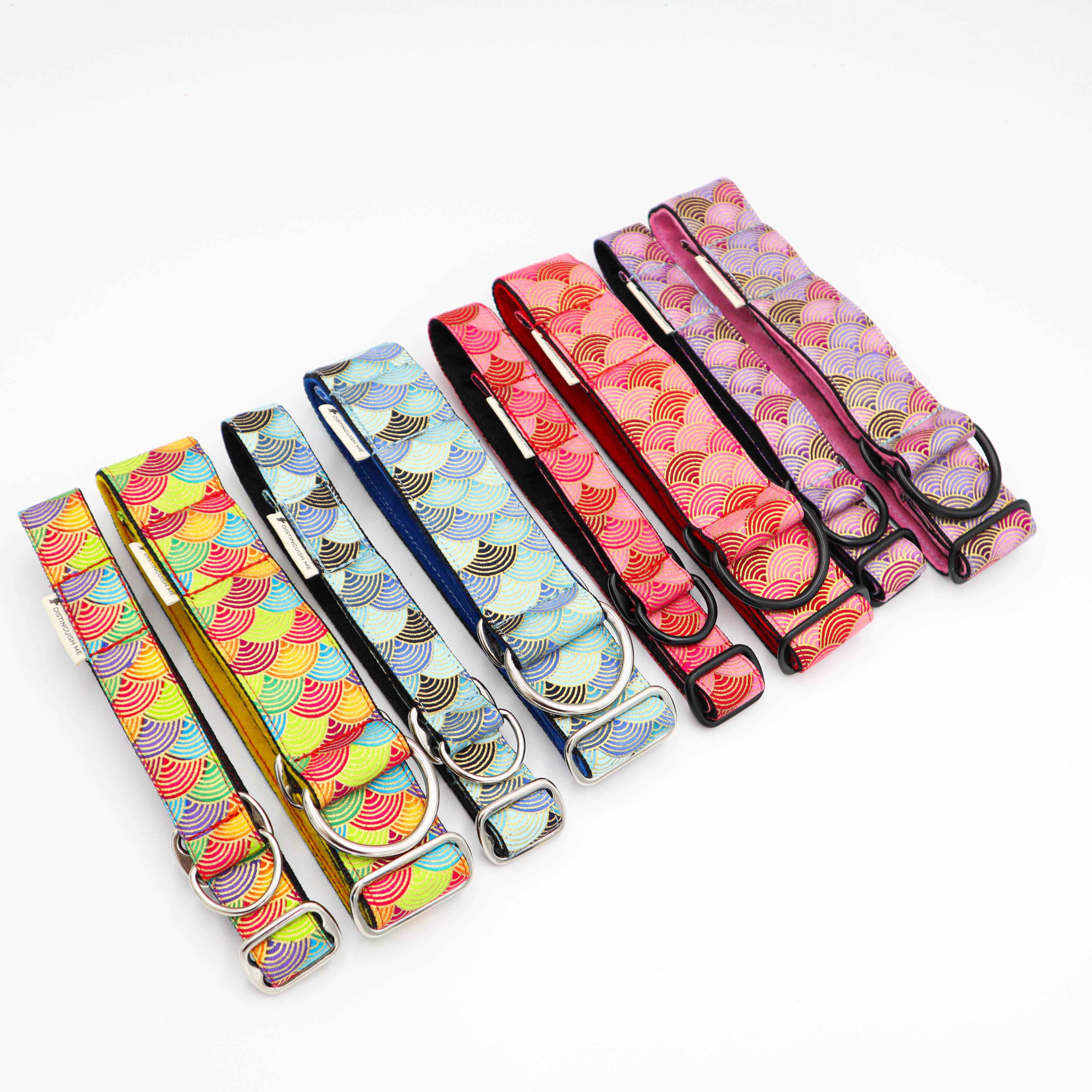 colourful dog collars by distinguish me