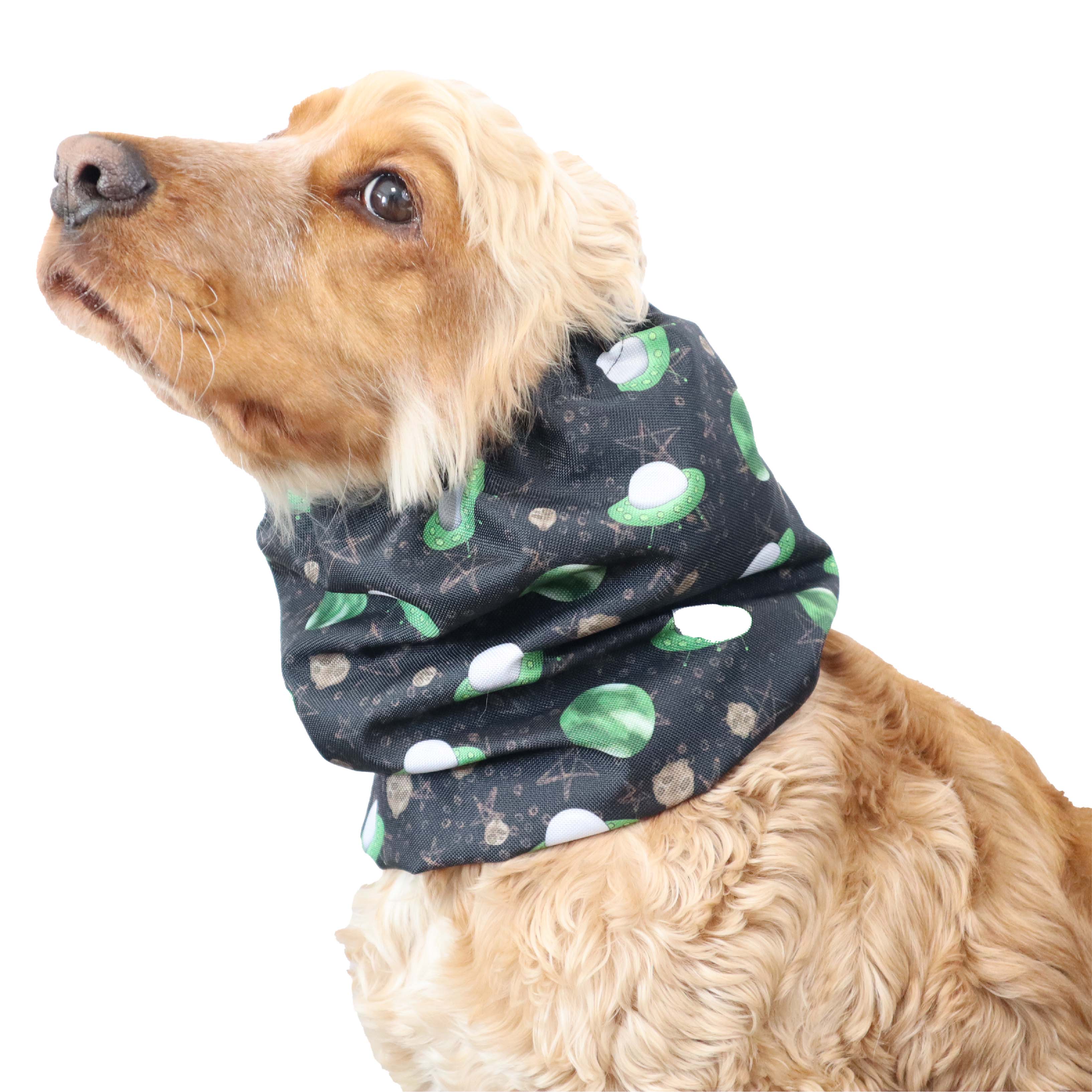 Waterproof Dog Snood NSO by Distinguish Me