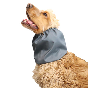 Dog snood Handmade Distinguish Me