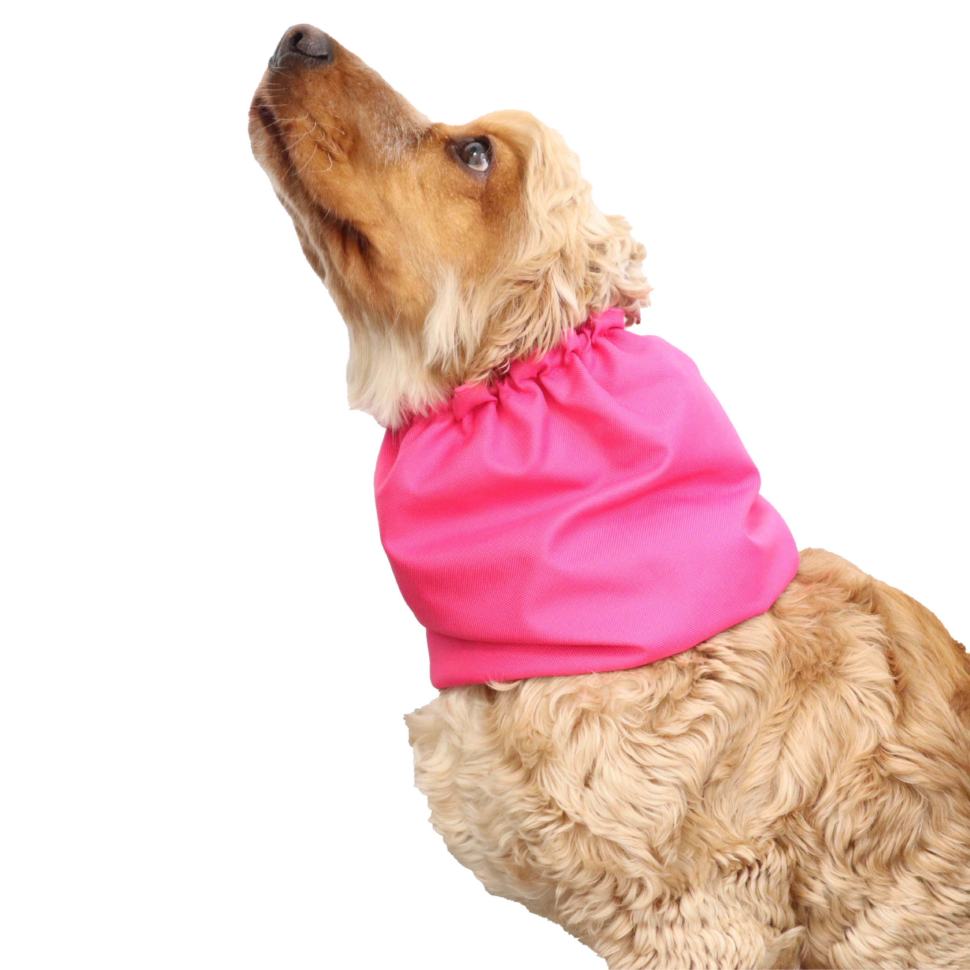 Dog Ear Cover Pink Distinguish Me