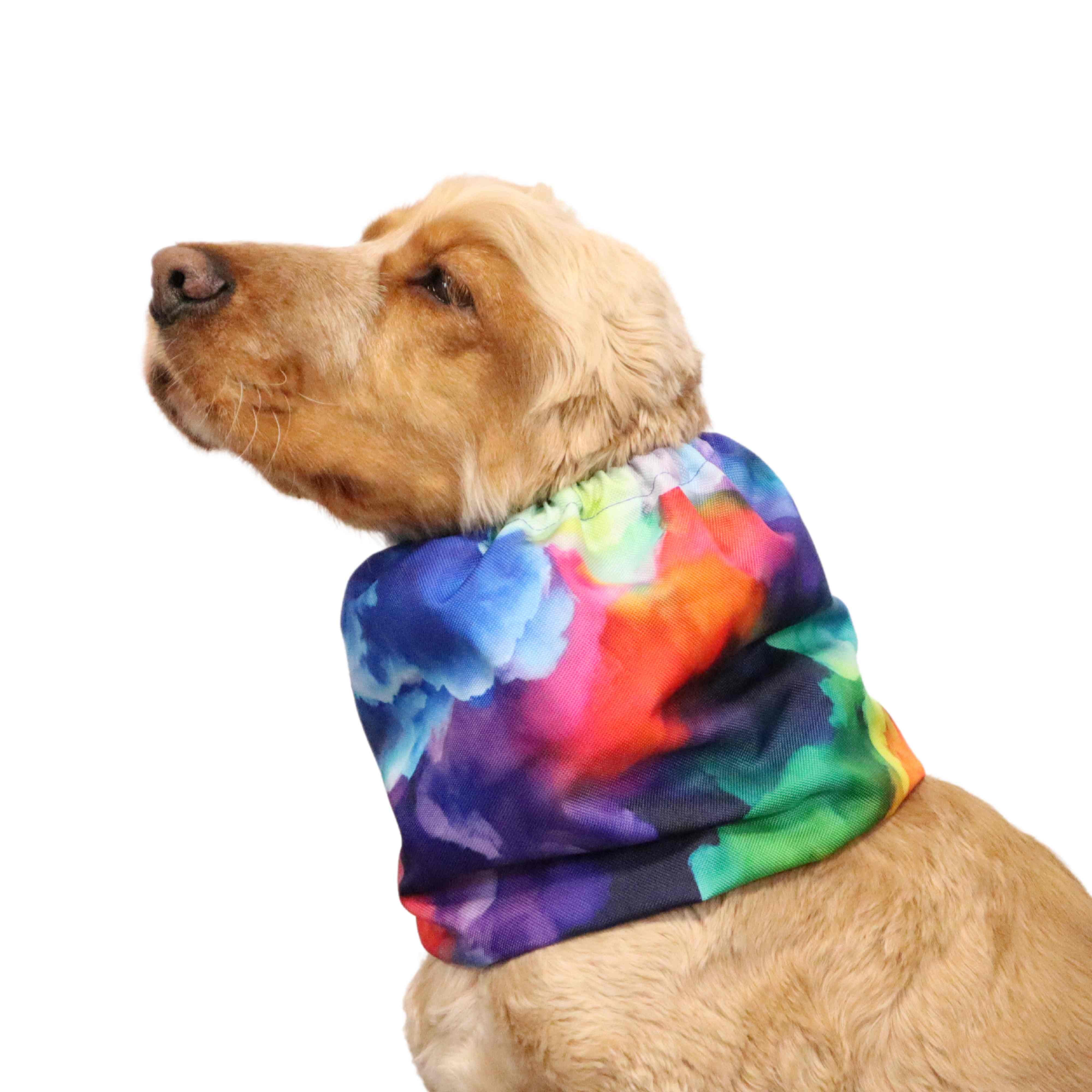 brown cocker spaniel with waterproof dog snood decorated with colourful clouds print  created by distinguish me 