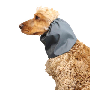 Dog Neck Wear Distinguish Me