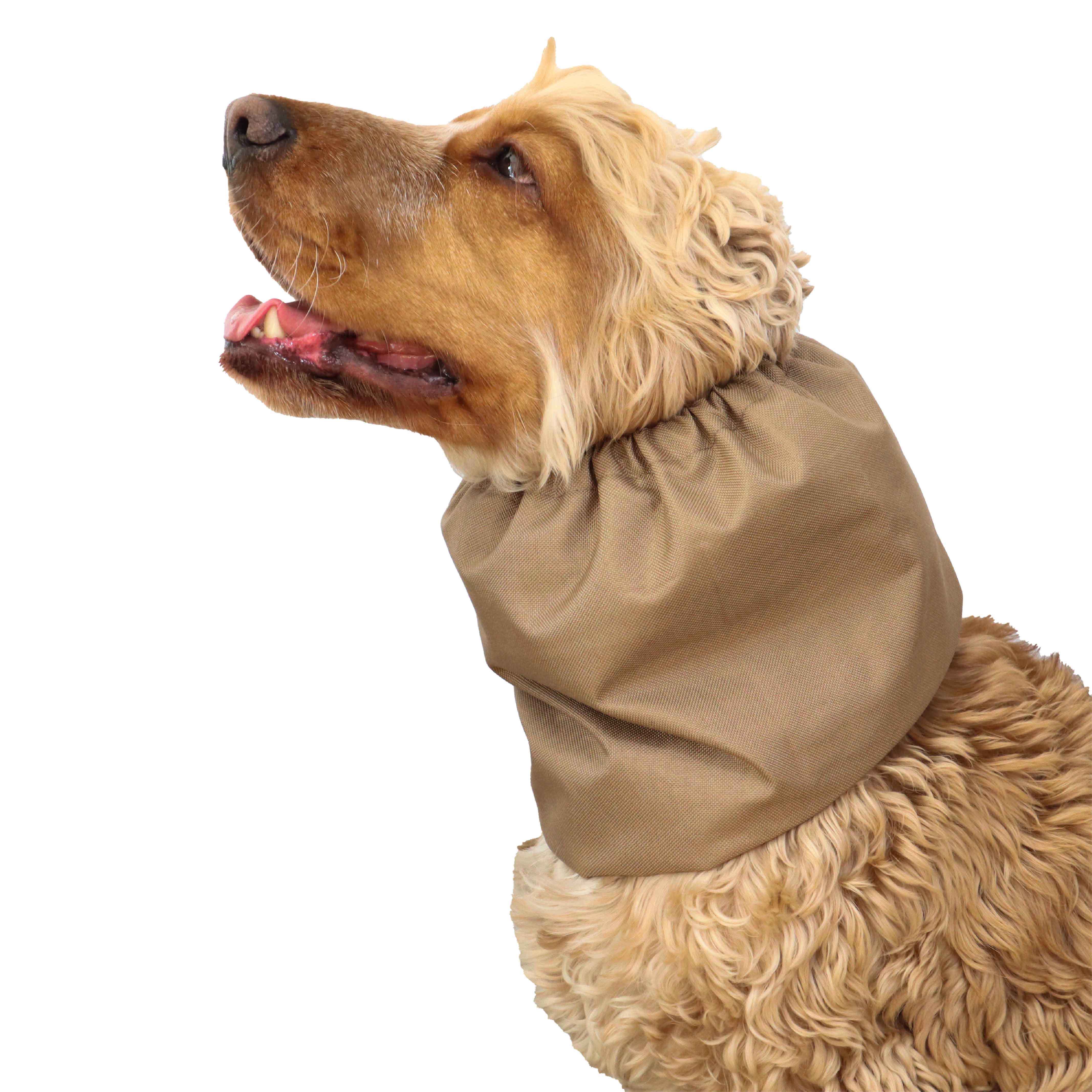 Dog snood for eating Beige Distinguish Me