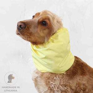 Eared dogs Yellow by Distinguish Me